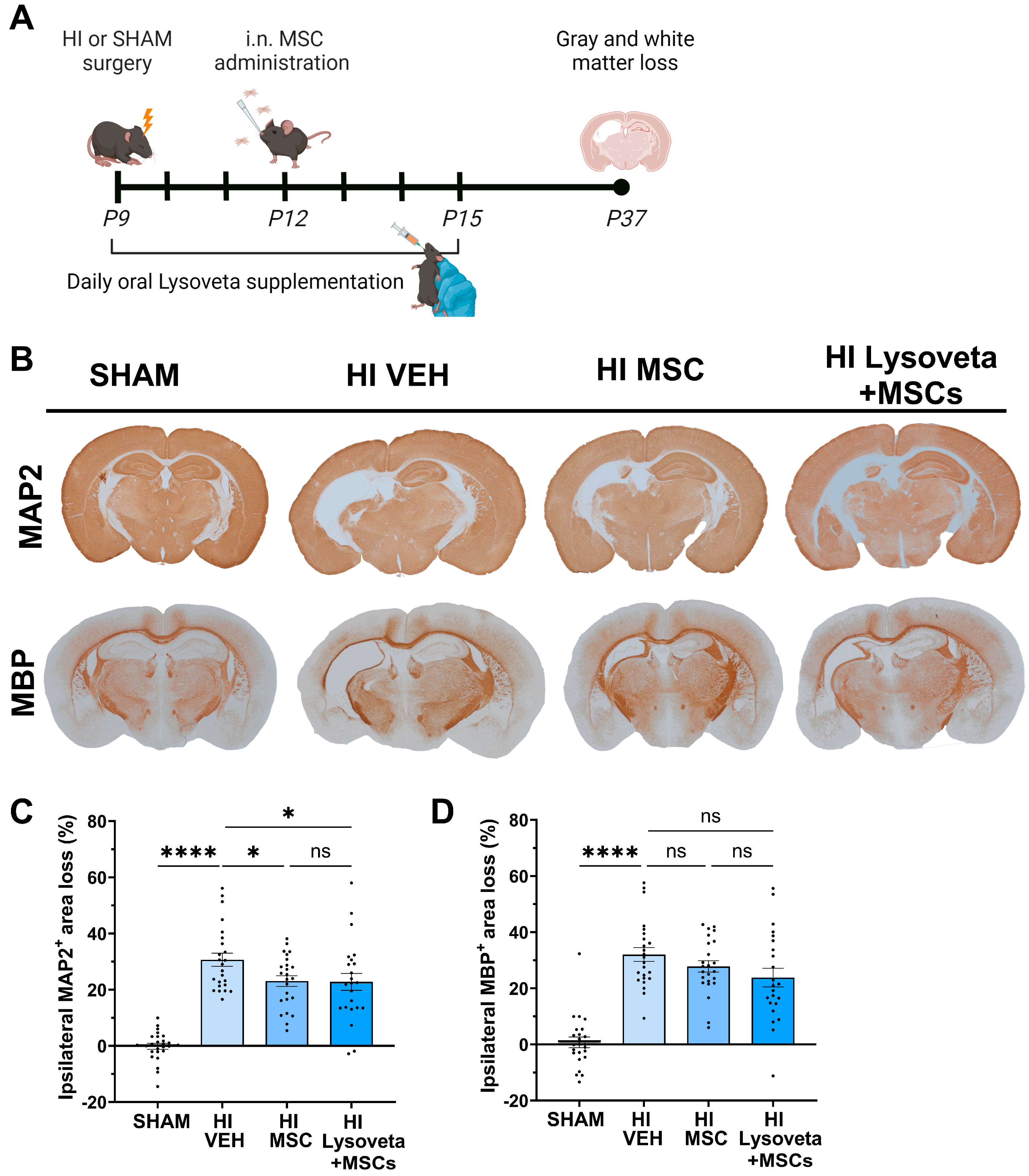 Nutrients 16 02252 g004