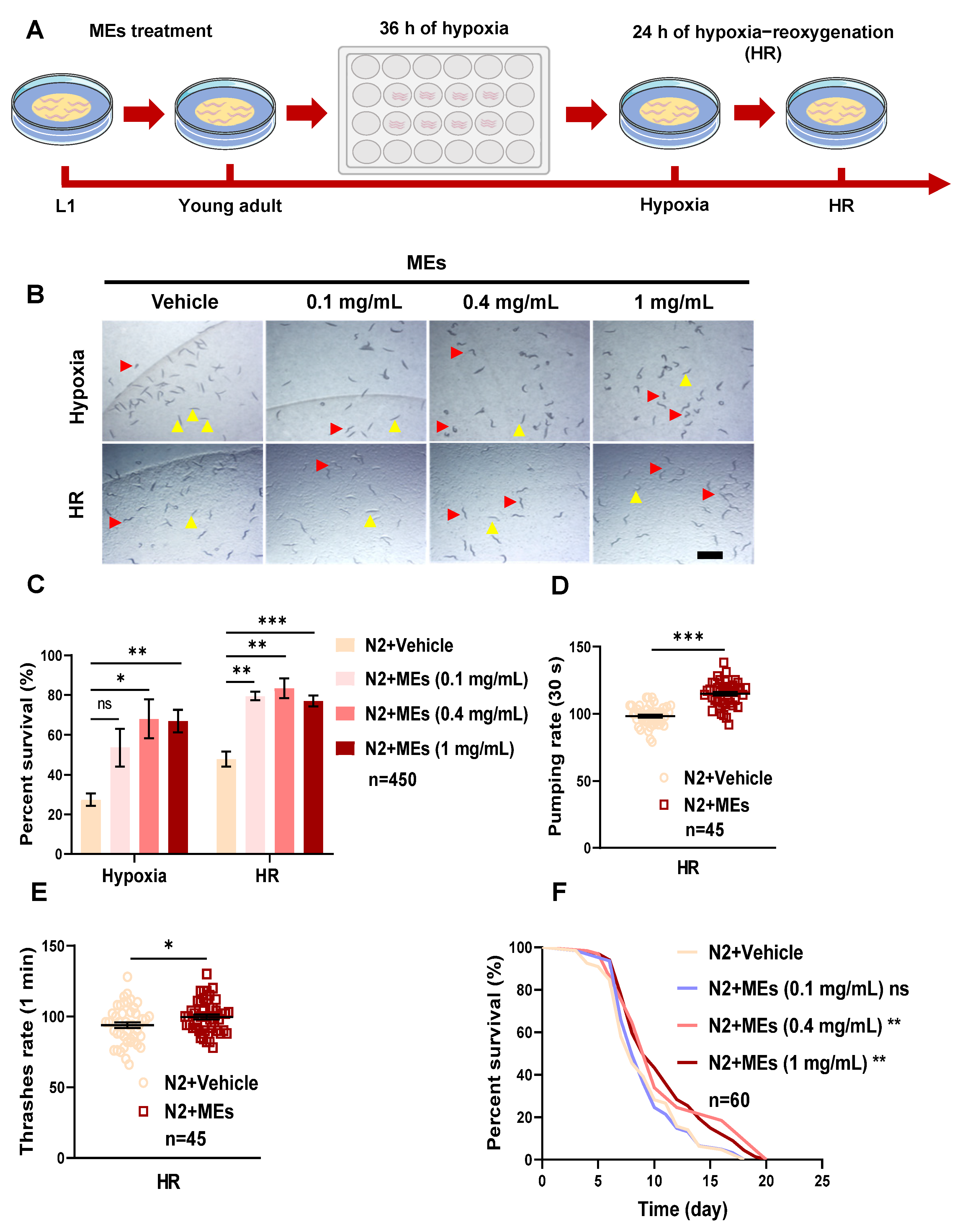 Nutrients 16 02257 g001