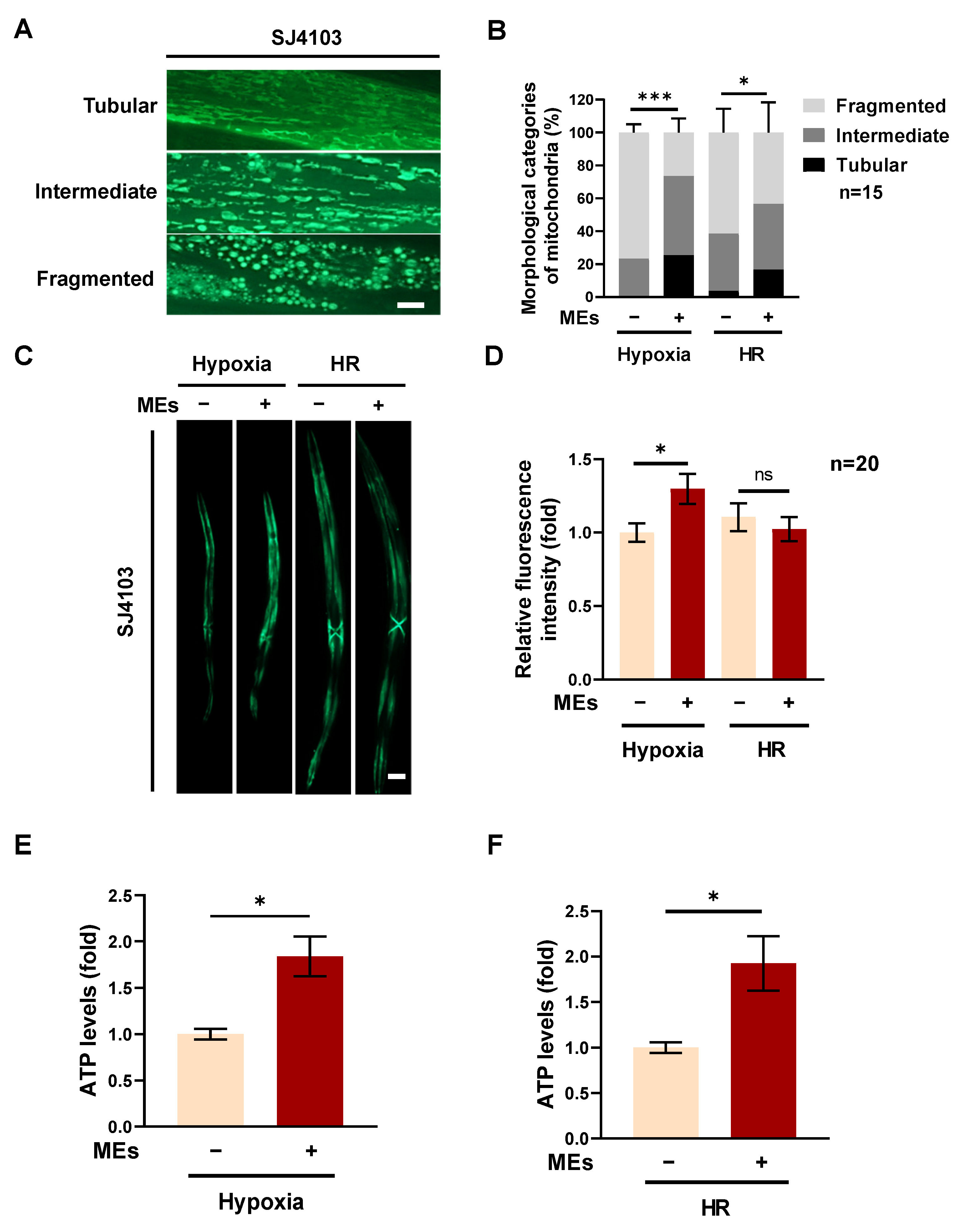 Nutrients 16 02257 g002