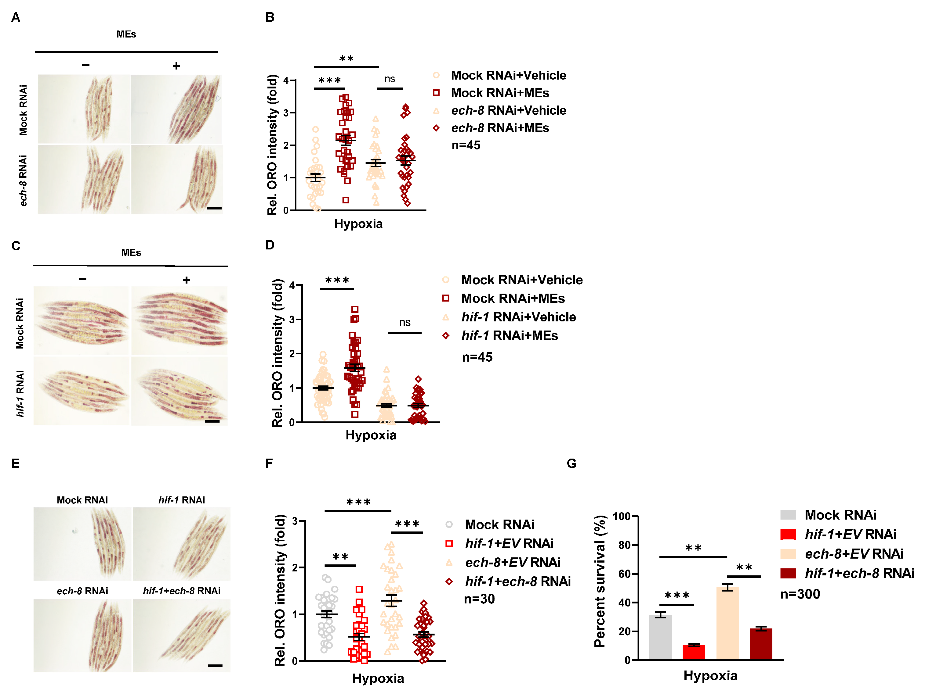 Nutrients 16 02257 g004