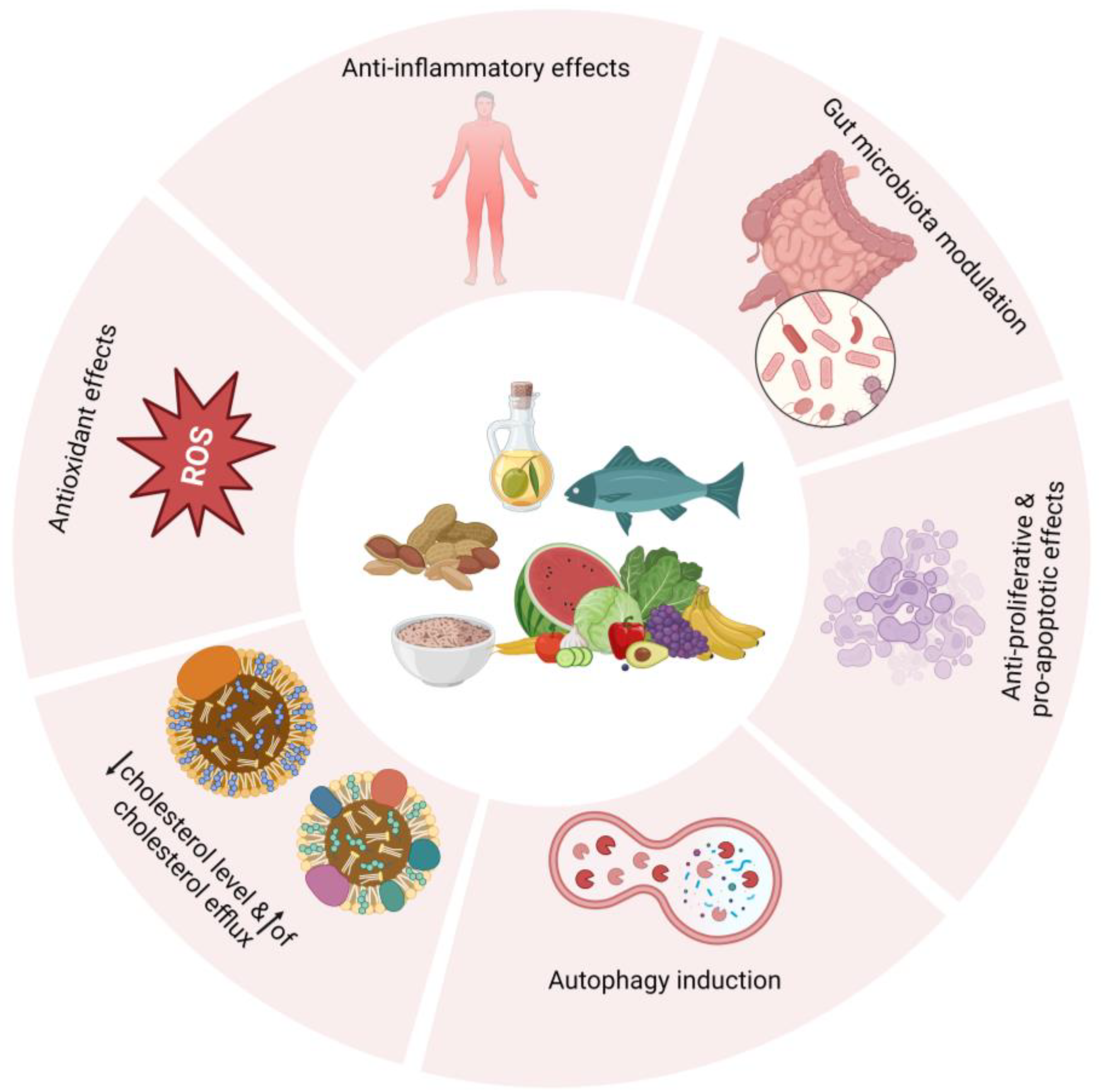 Nutrients 16 02262 g001