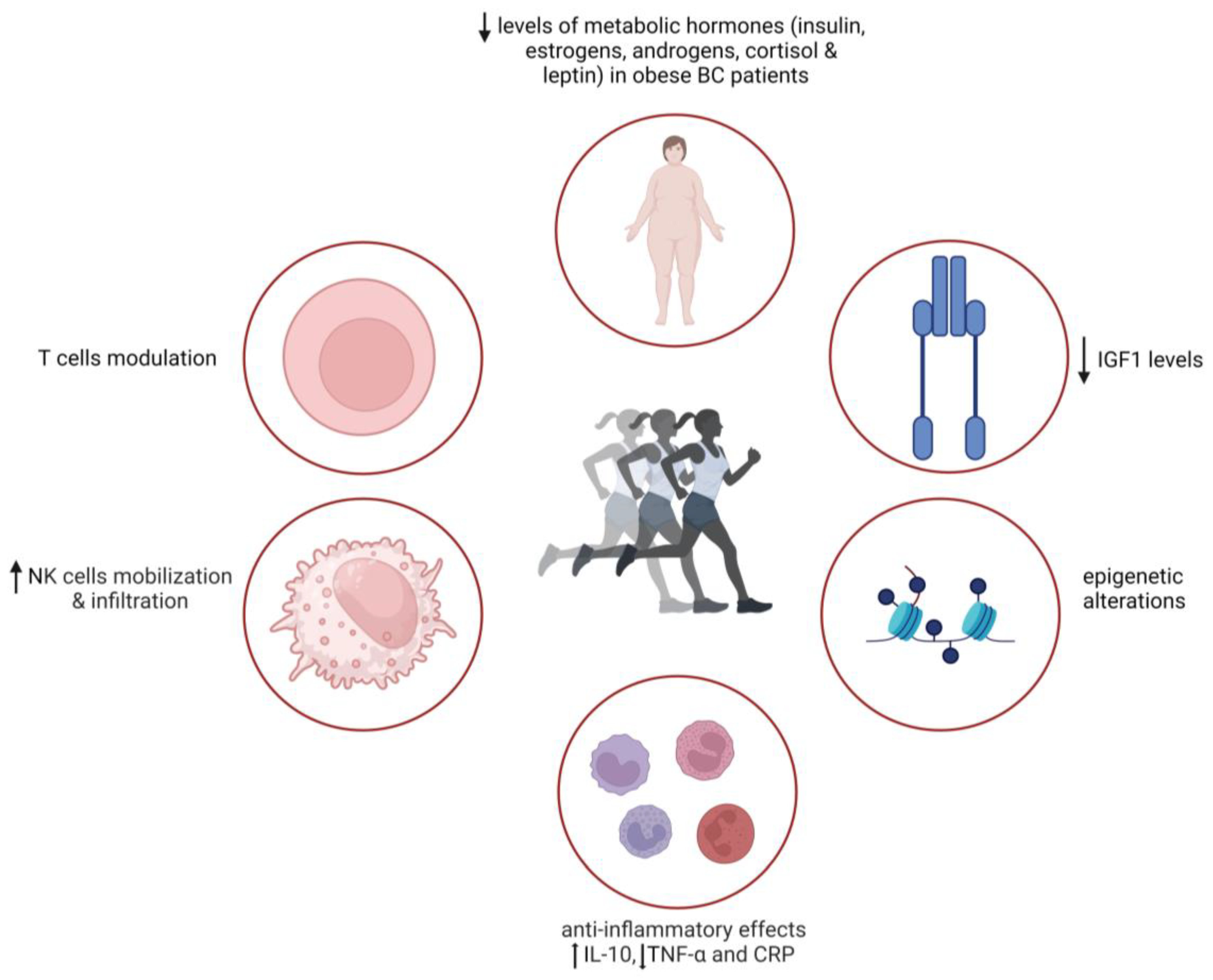 Nutrients 16 02262 g002