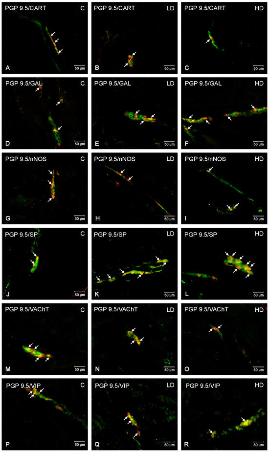 Nutrients 16 02268 g006
