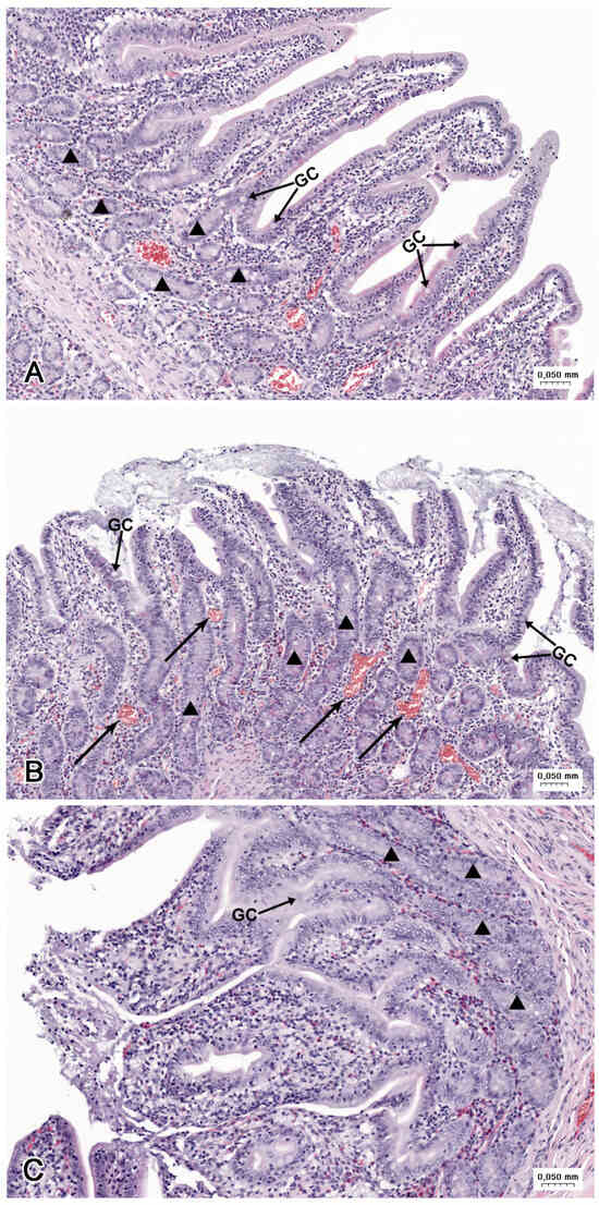 Nutrients 16 02268 g007