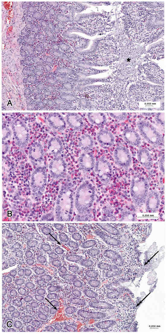 Nutrients 16 02268 g008