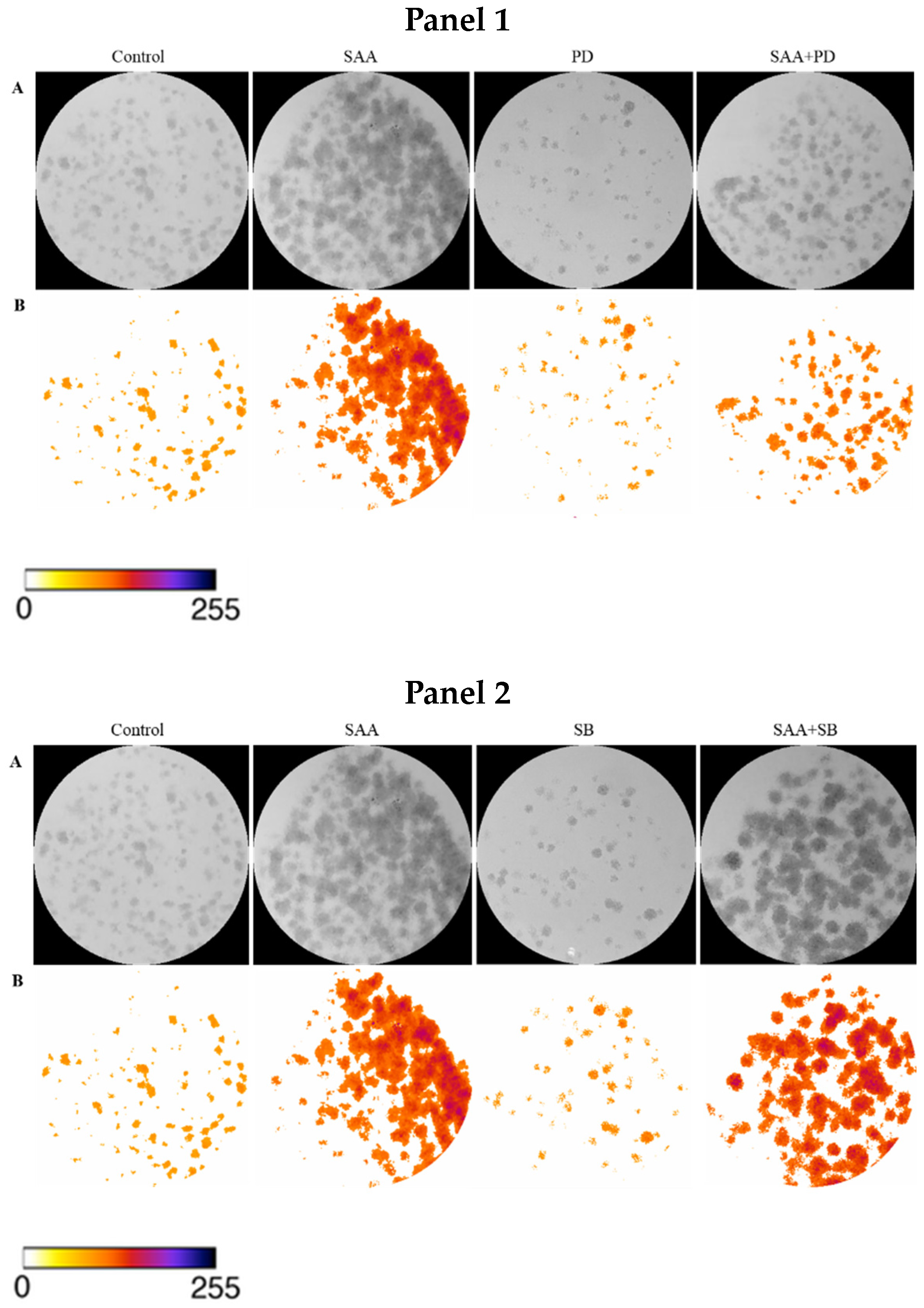 Nutrients 16 02283 g002a