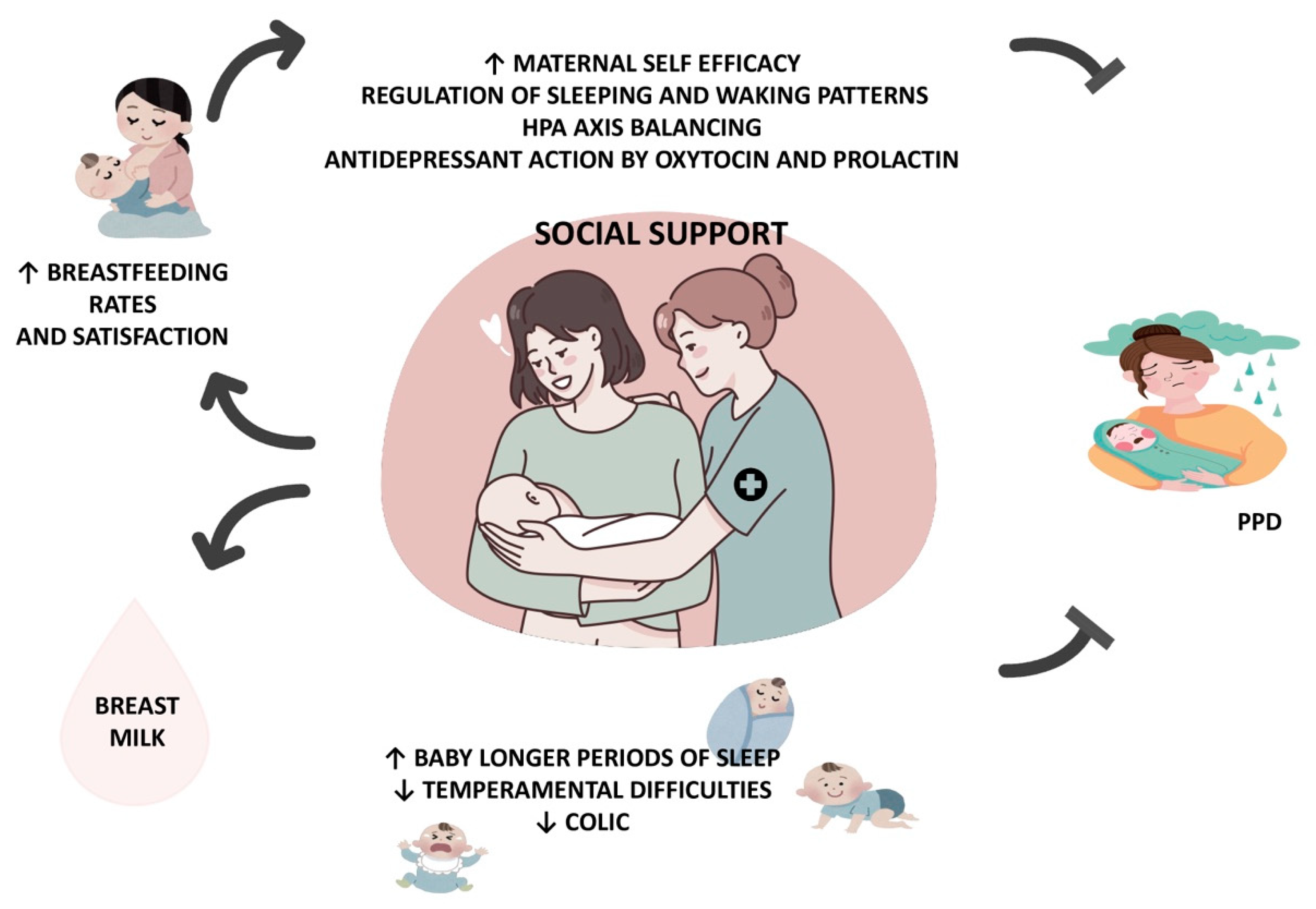Nutrients 16 02285 g001
