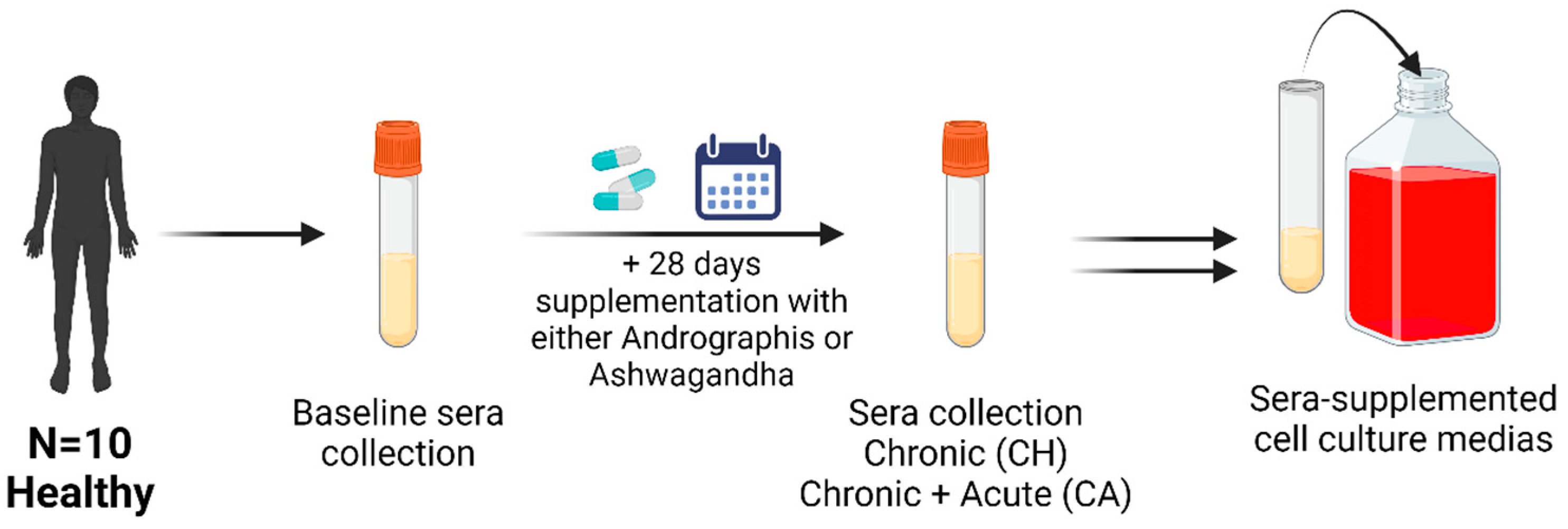 Nutrients 16 02291 g001
