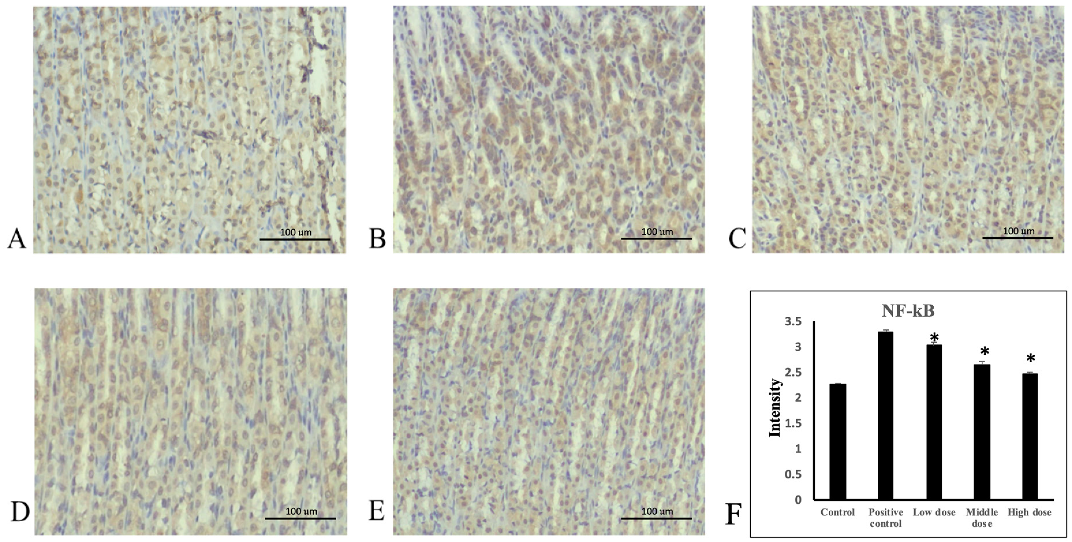 Nutrients 16 02297 g005
