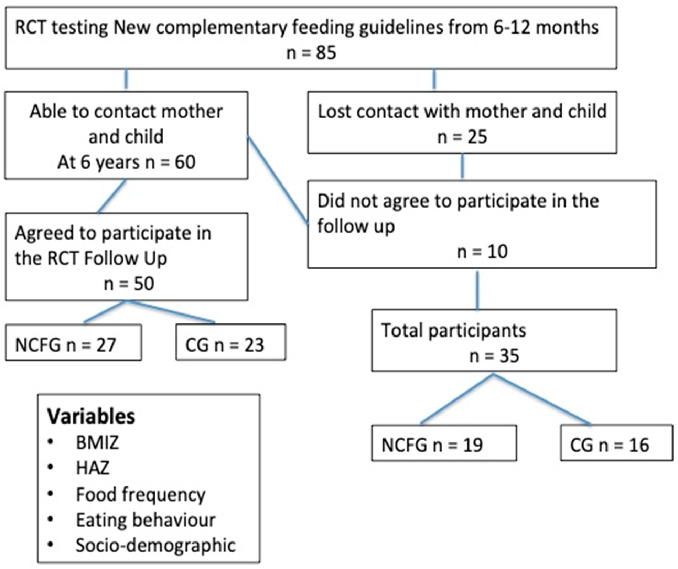 Nutrients 16 02311 g001
