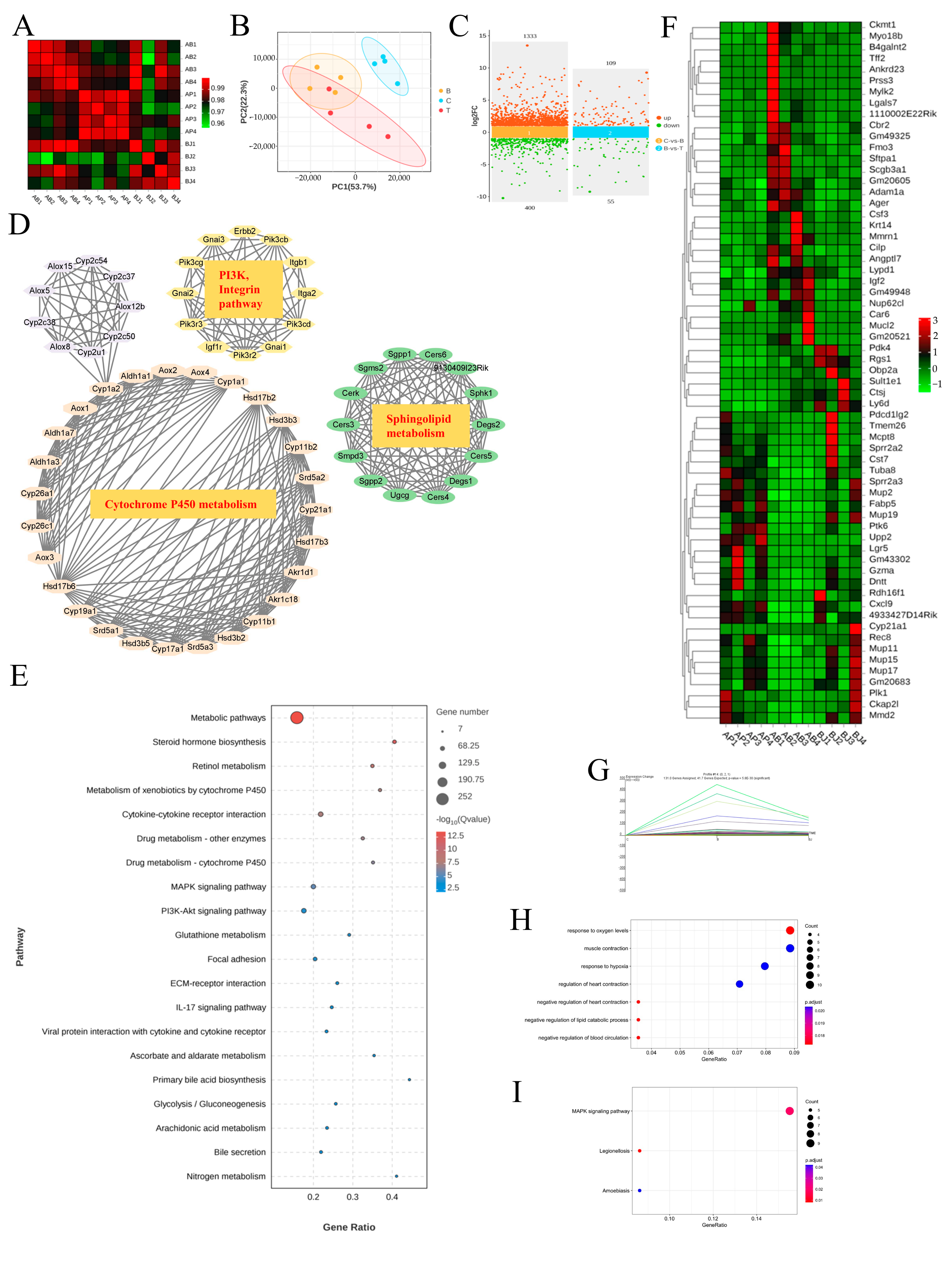 Nutrients 16 02314 g007