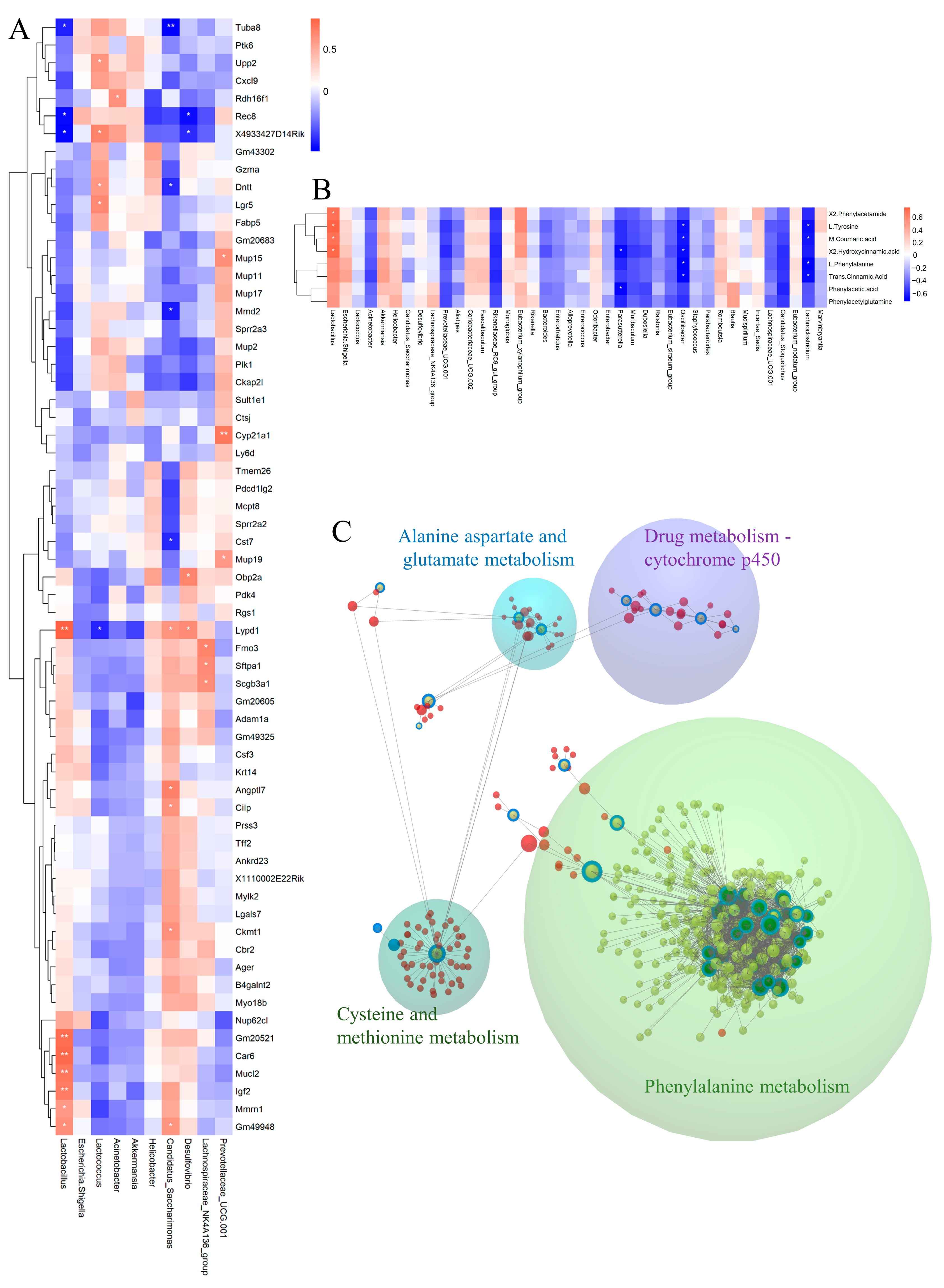 Nutrients 16 02314 g009