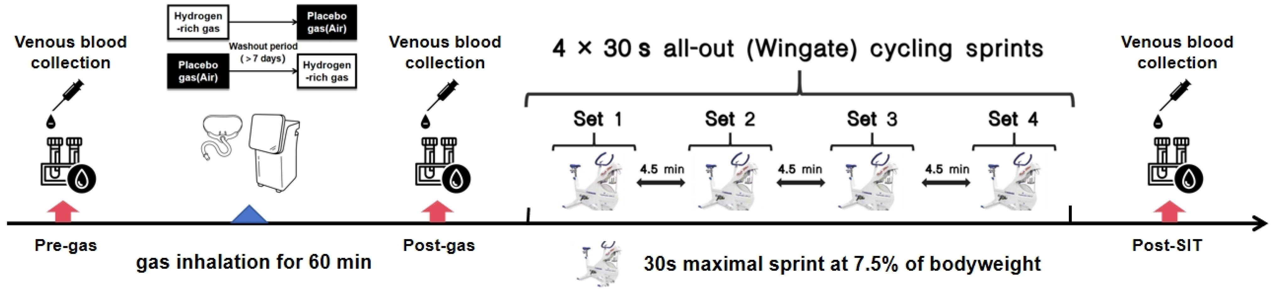 Nutrients 16 02341 g001