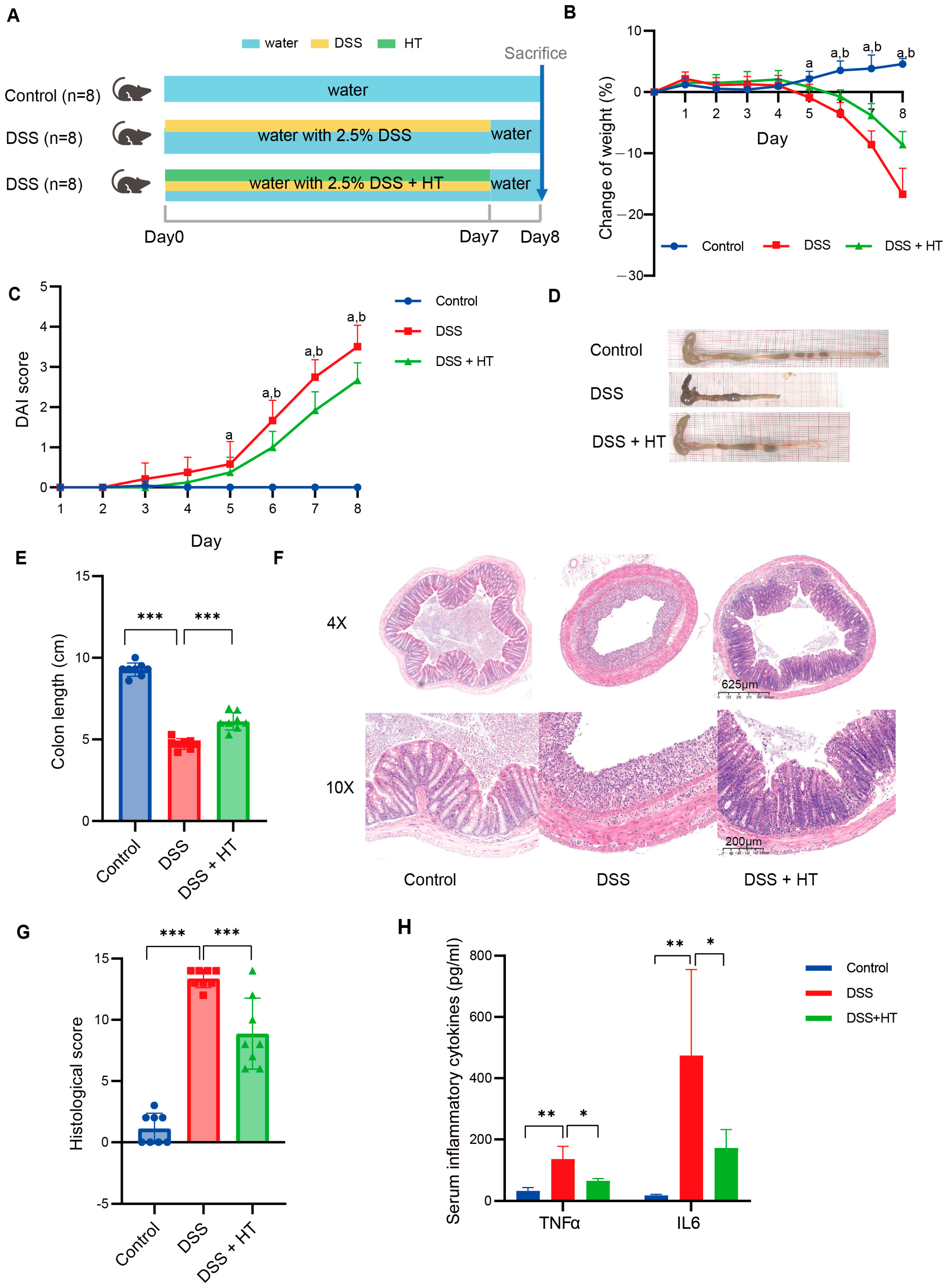 Nutrients 16 02343 g001
