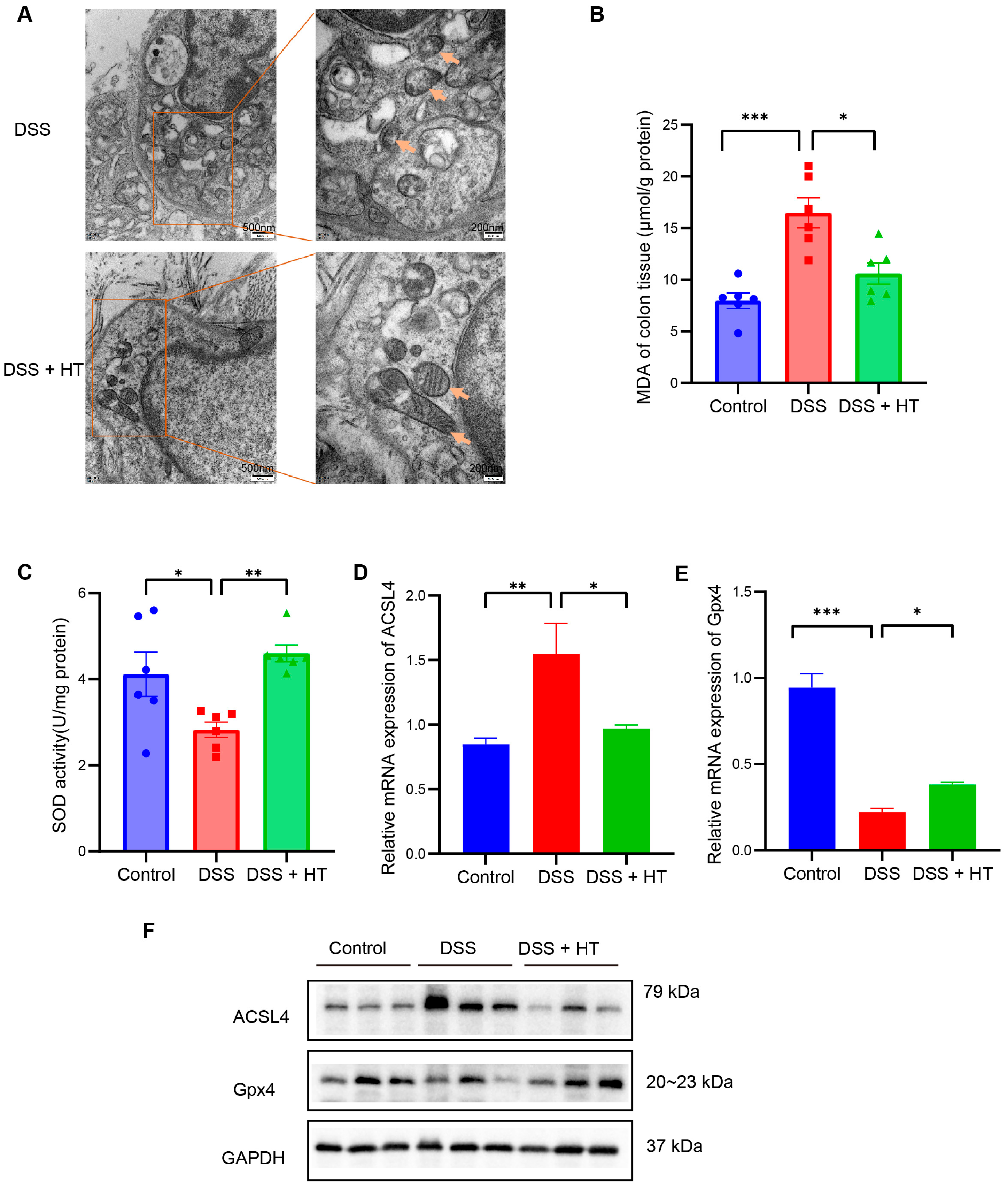 Nutrients 16 02343 g006