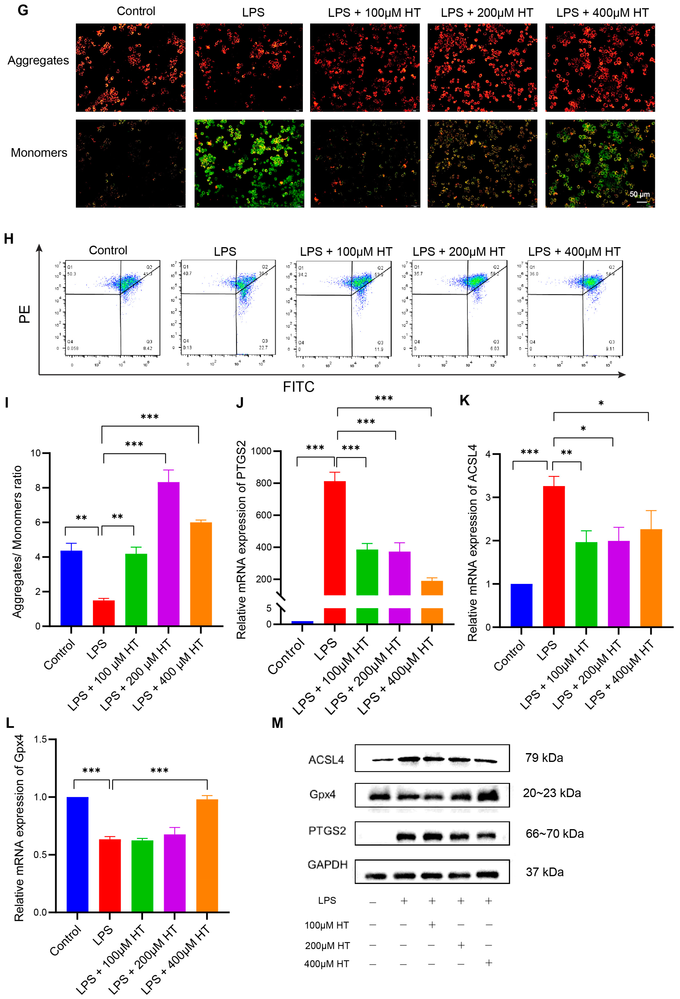 Nutrients 16 02343 g007b