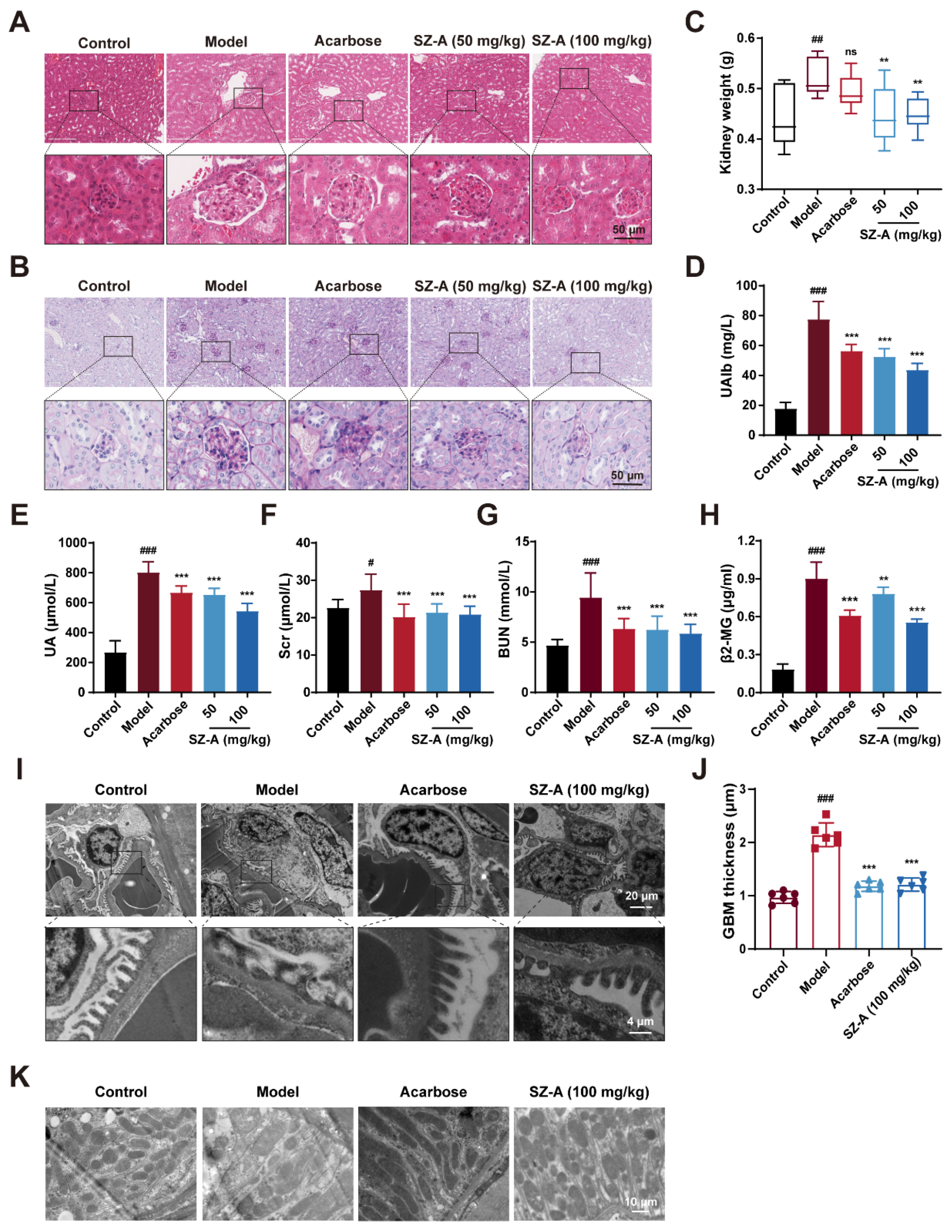 Nutrients 16 02346 g002