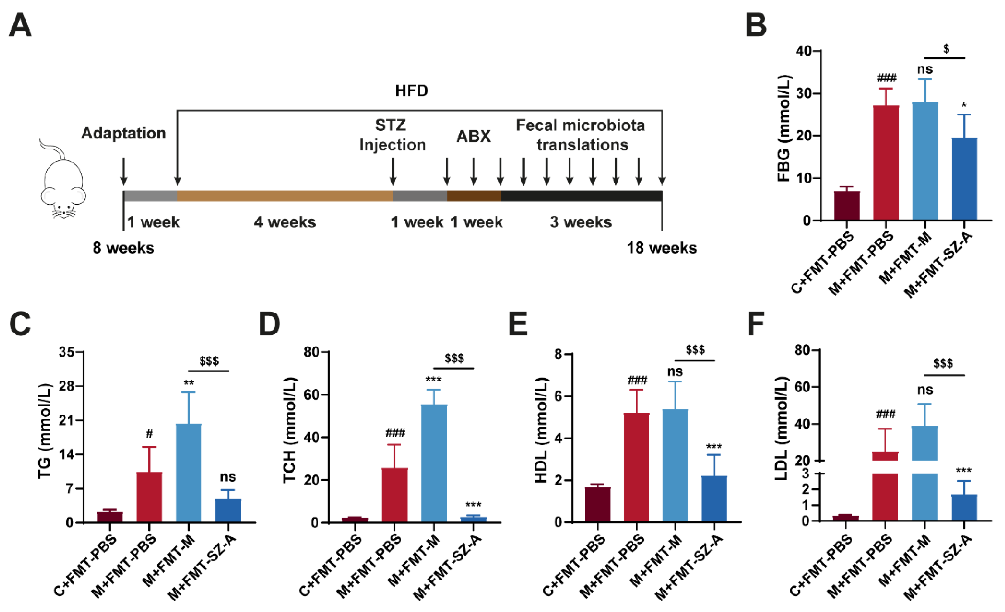 Nutrients 16 02346 g006
