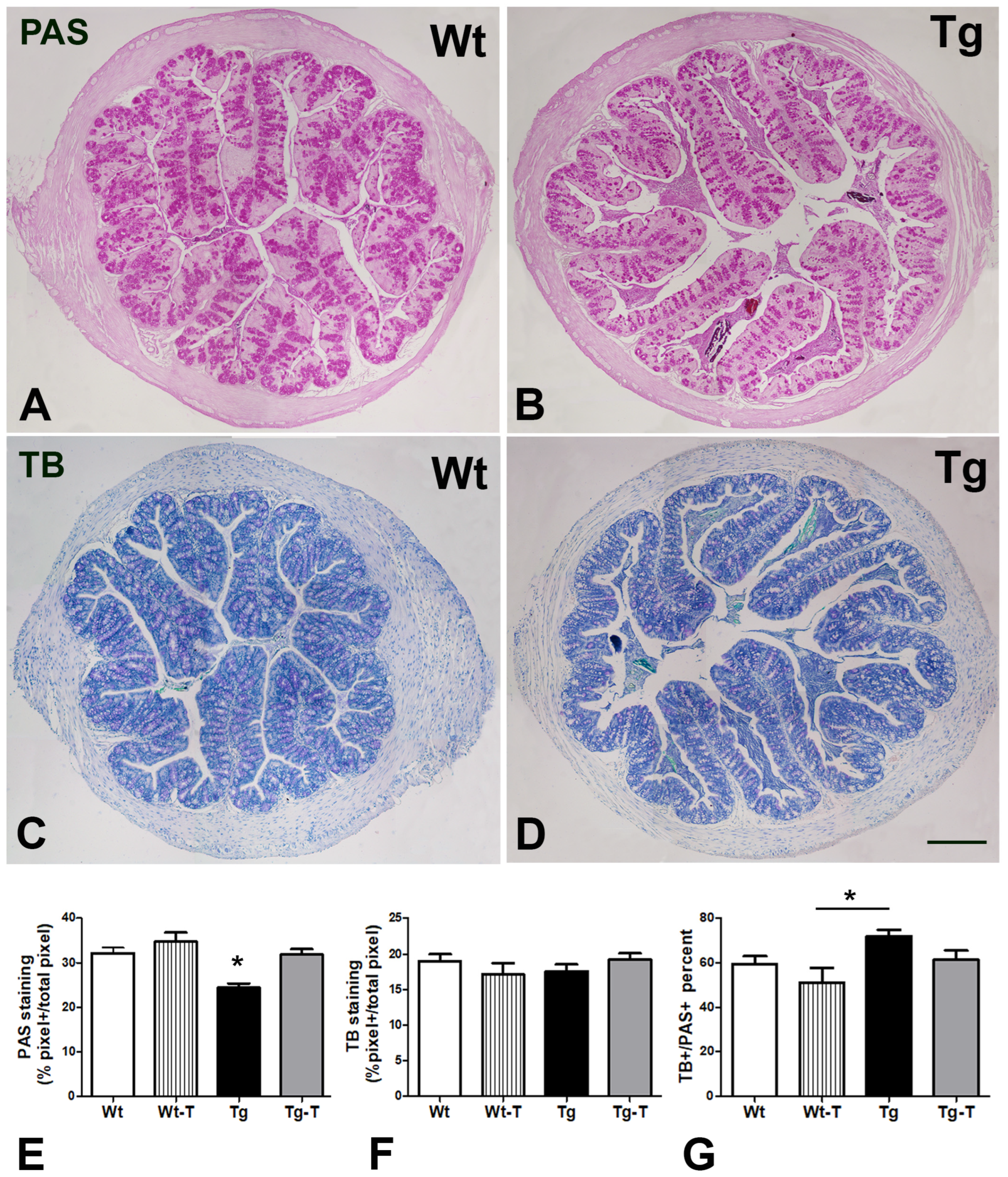 Nutrients 16 02381 g006