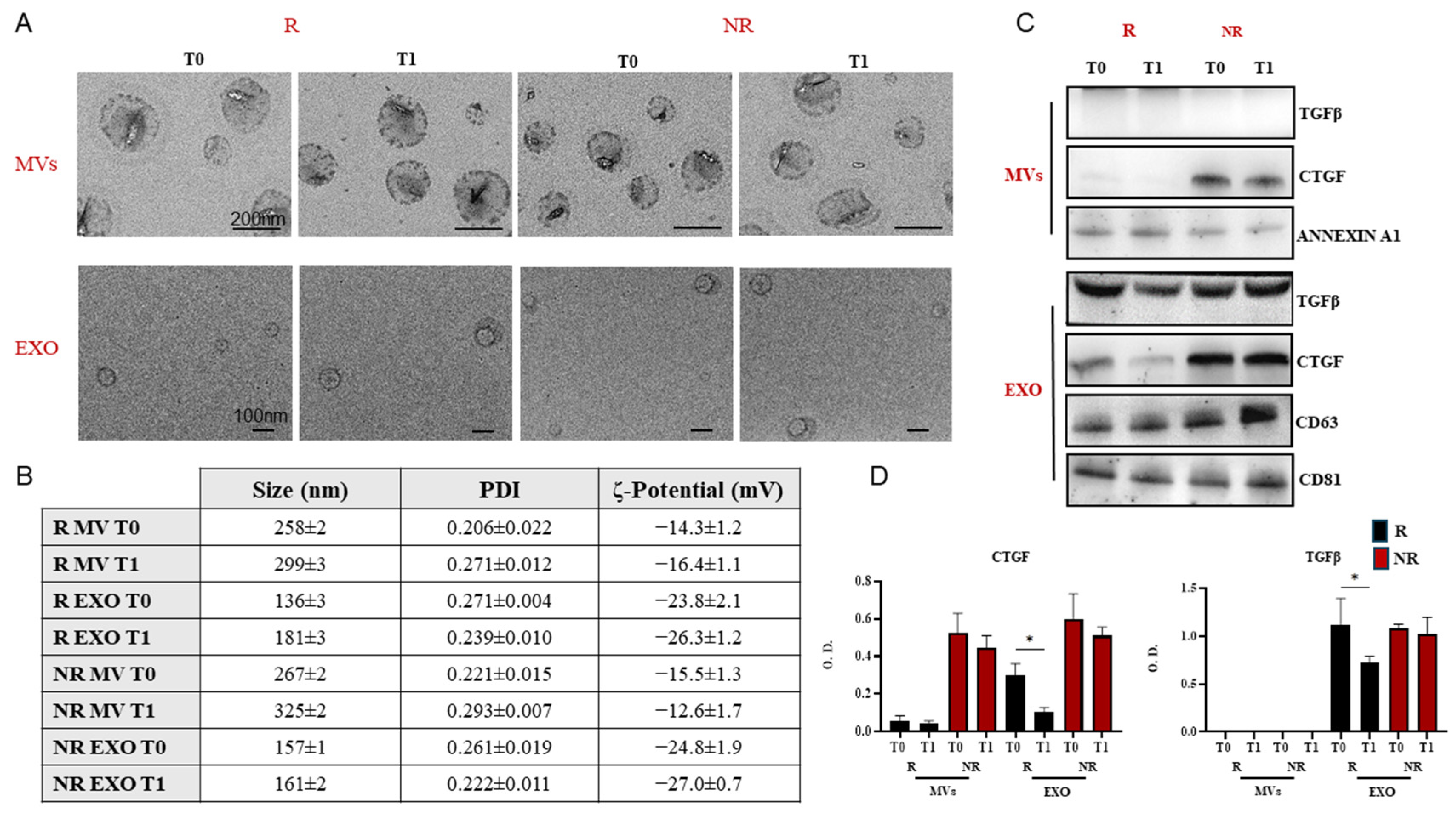 Nutrients 16 02386 g003