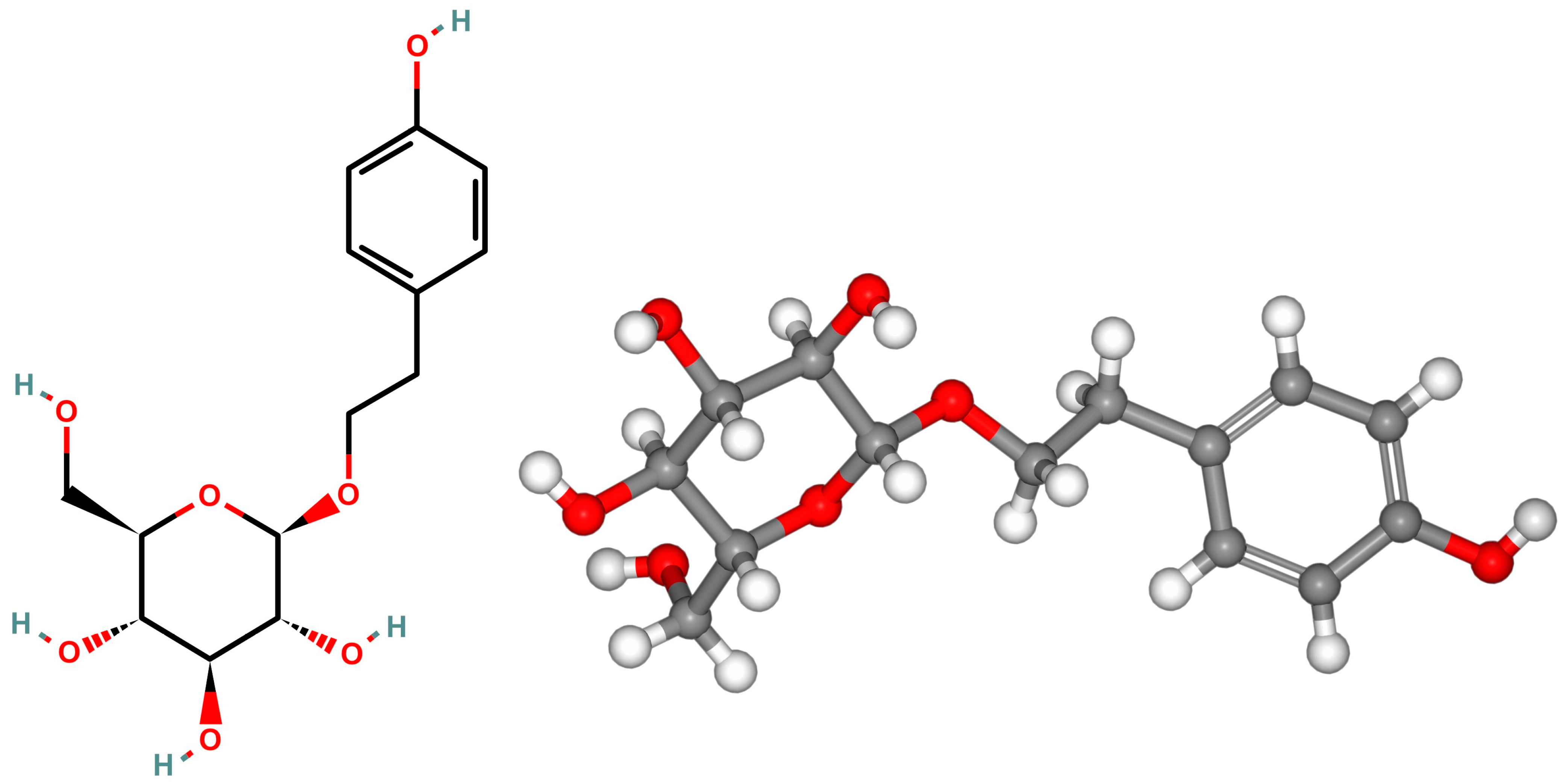 Nutrients 16 02387 g001