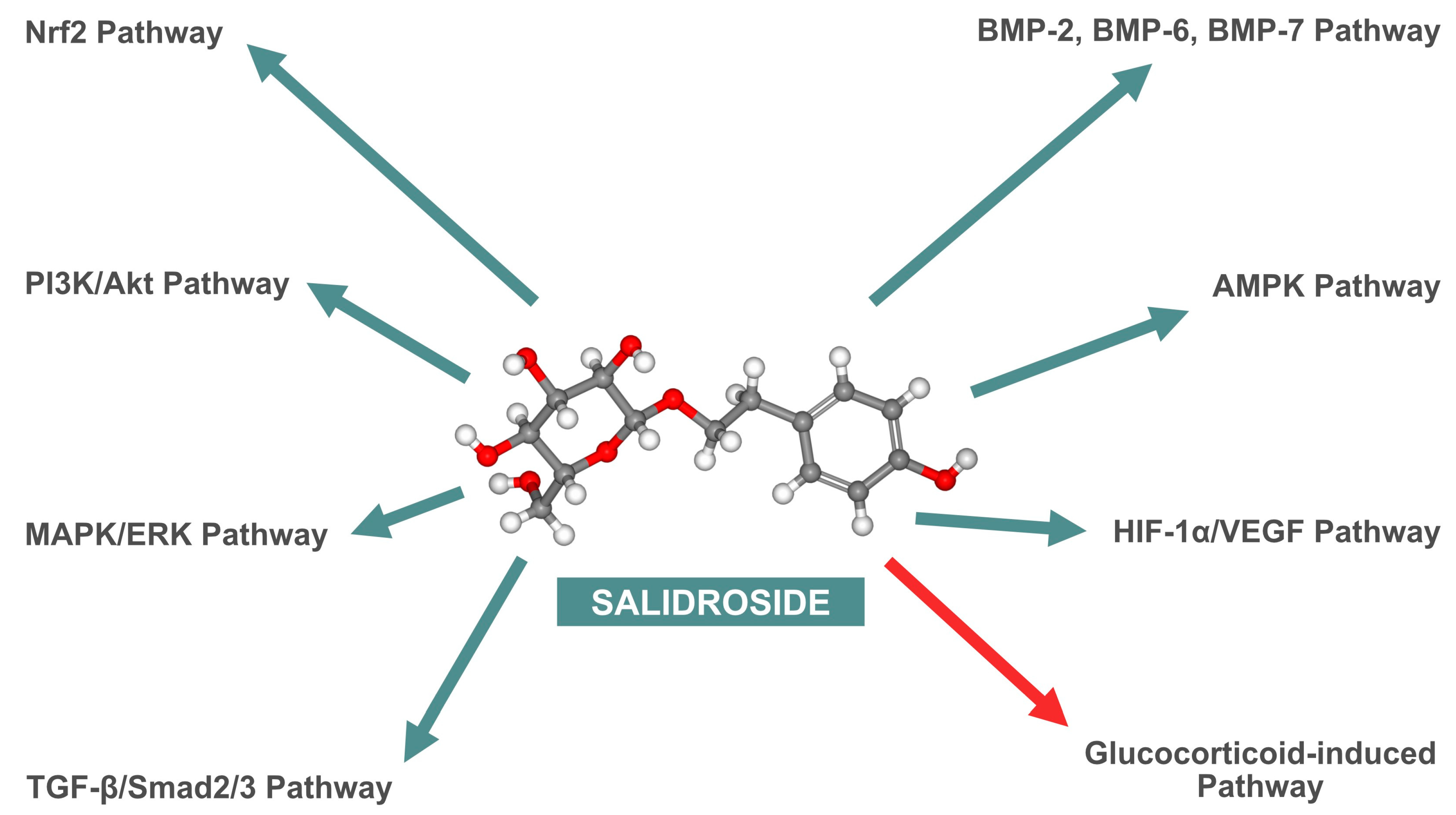 Nutrients 16 02387 g003