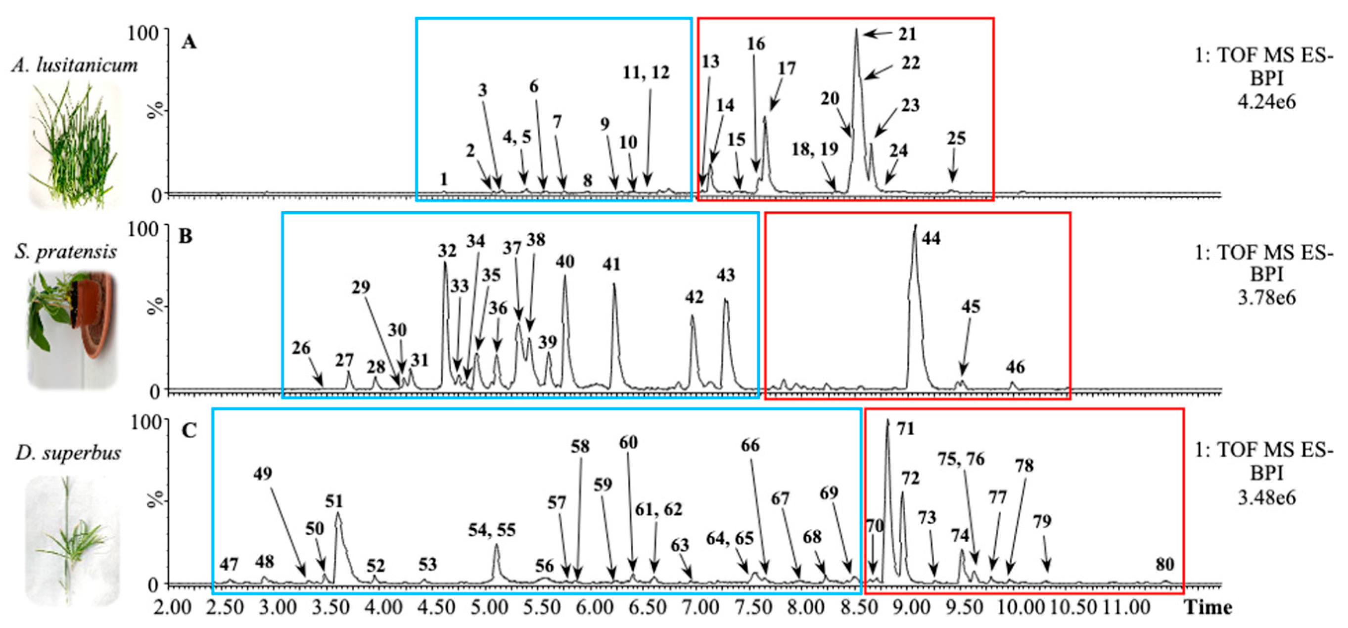 Nutrients 16 02389 g001