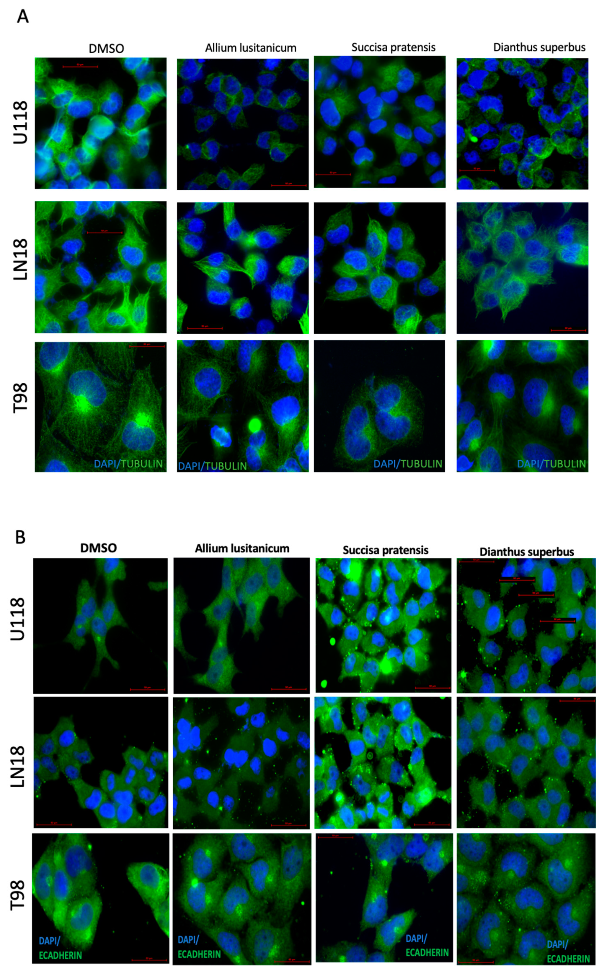 Nutrients 16 02389 g003
