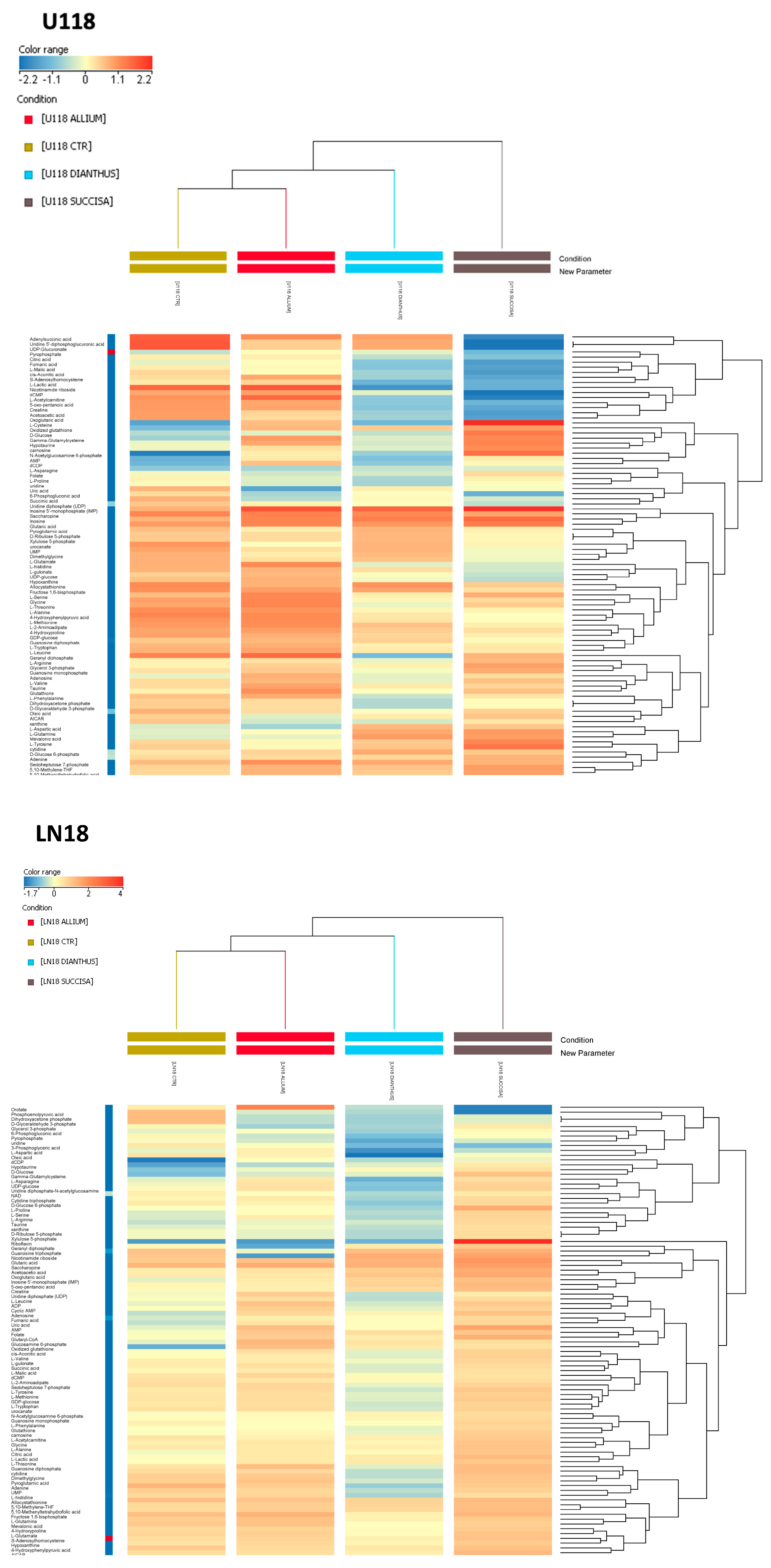 Nutrients 16 02389 g005a