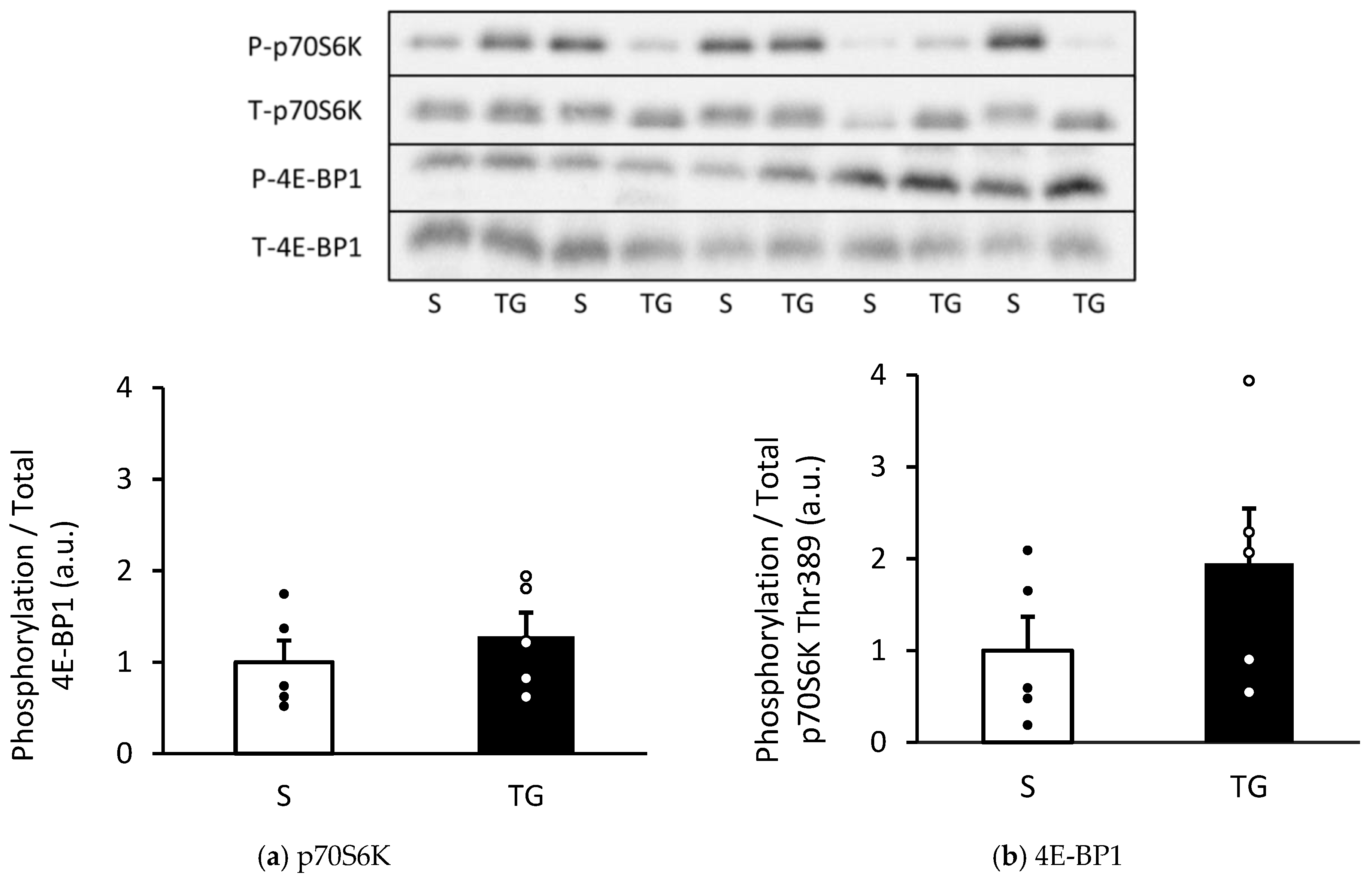 Nutrients 16 02390 g002