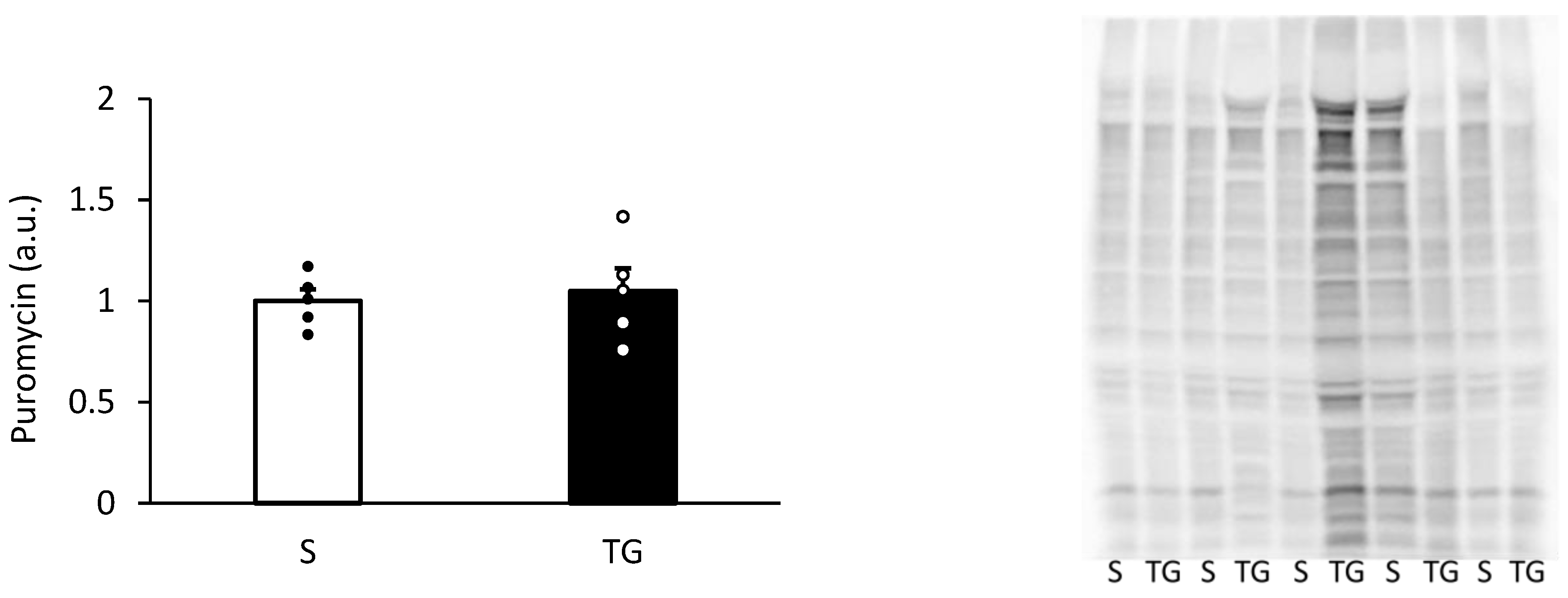 Nutrients 16 02390 g003