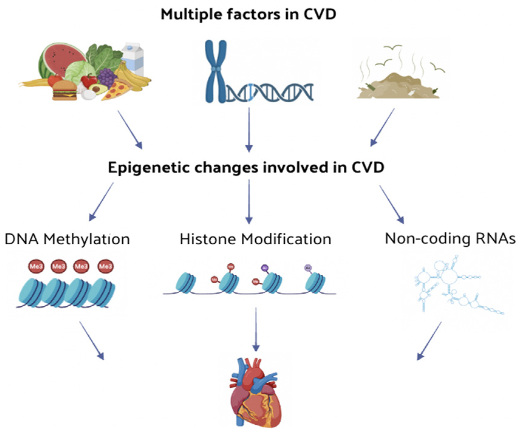 Nutrients 16 02399 g001