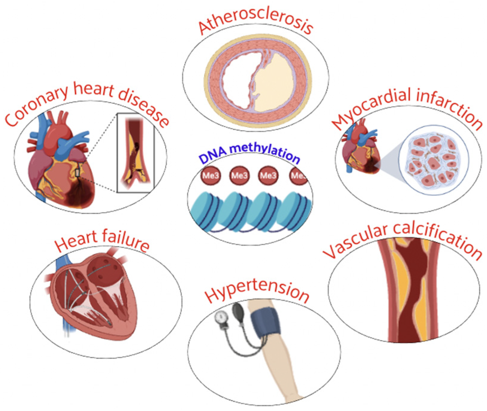 Nutrients 16 02399 g002
