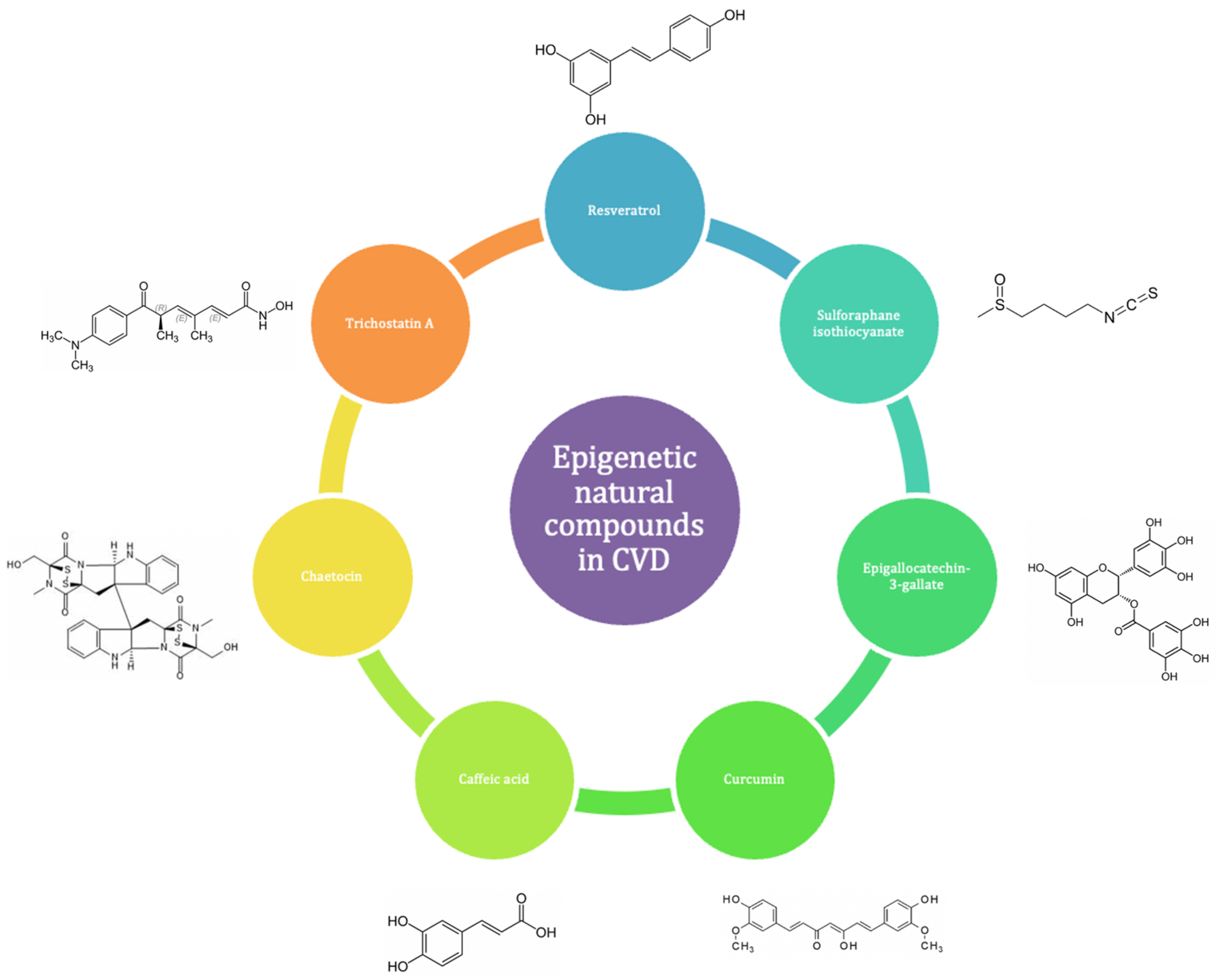 Nutrients 16 02399 g008