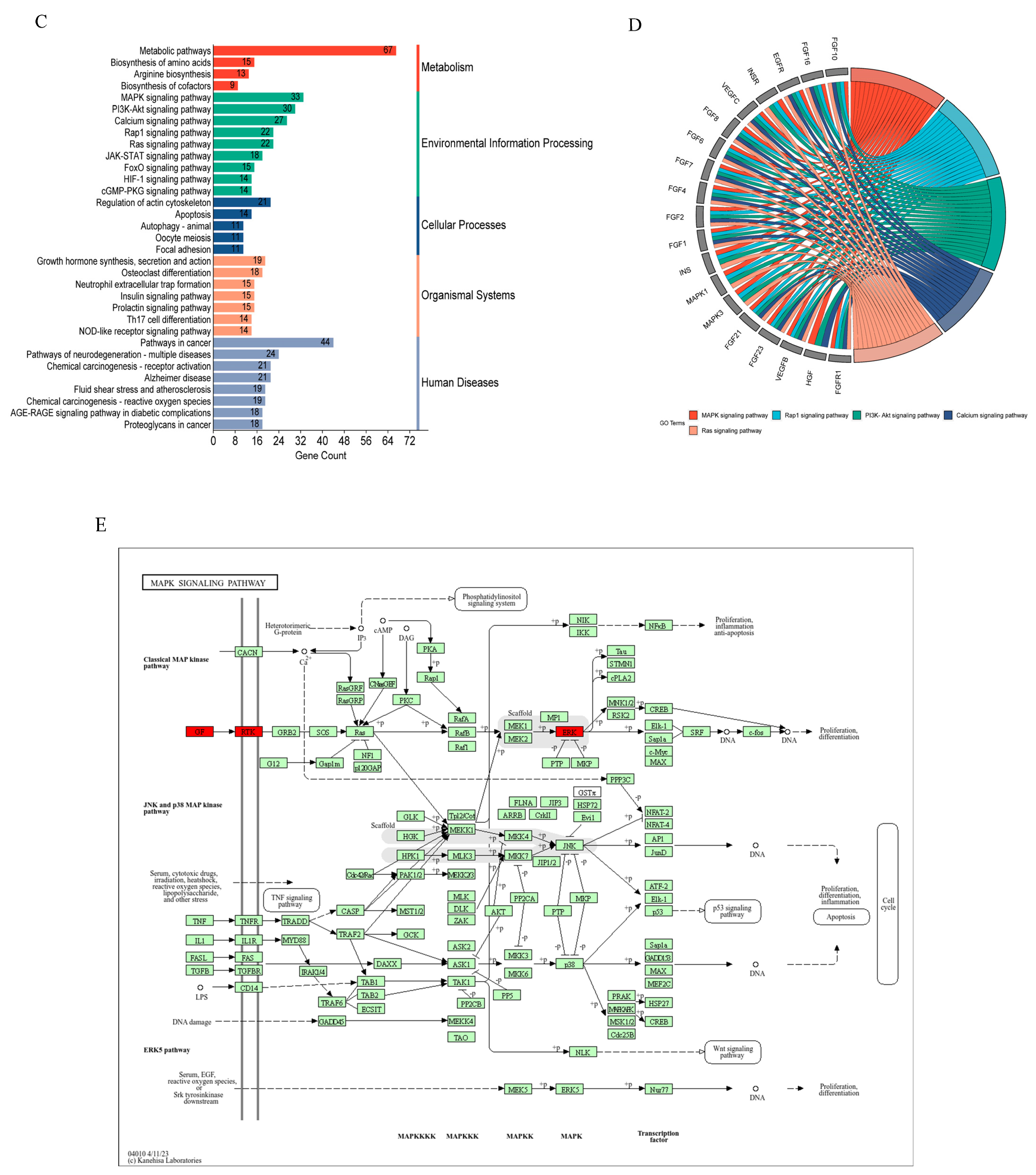 Nutrients 16 02488 g003b