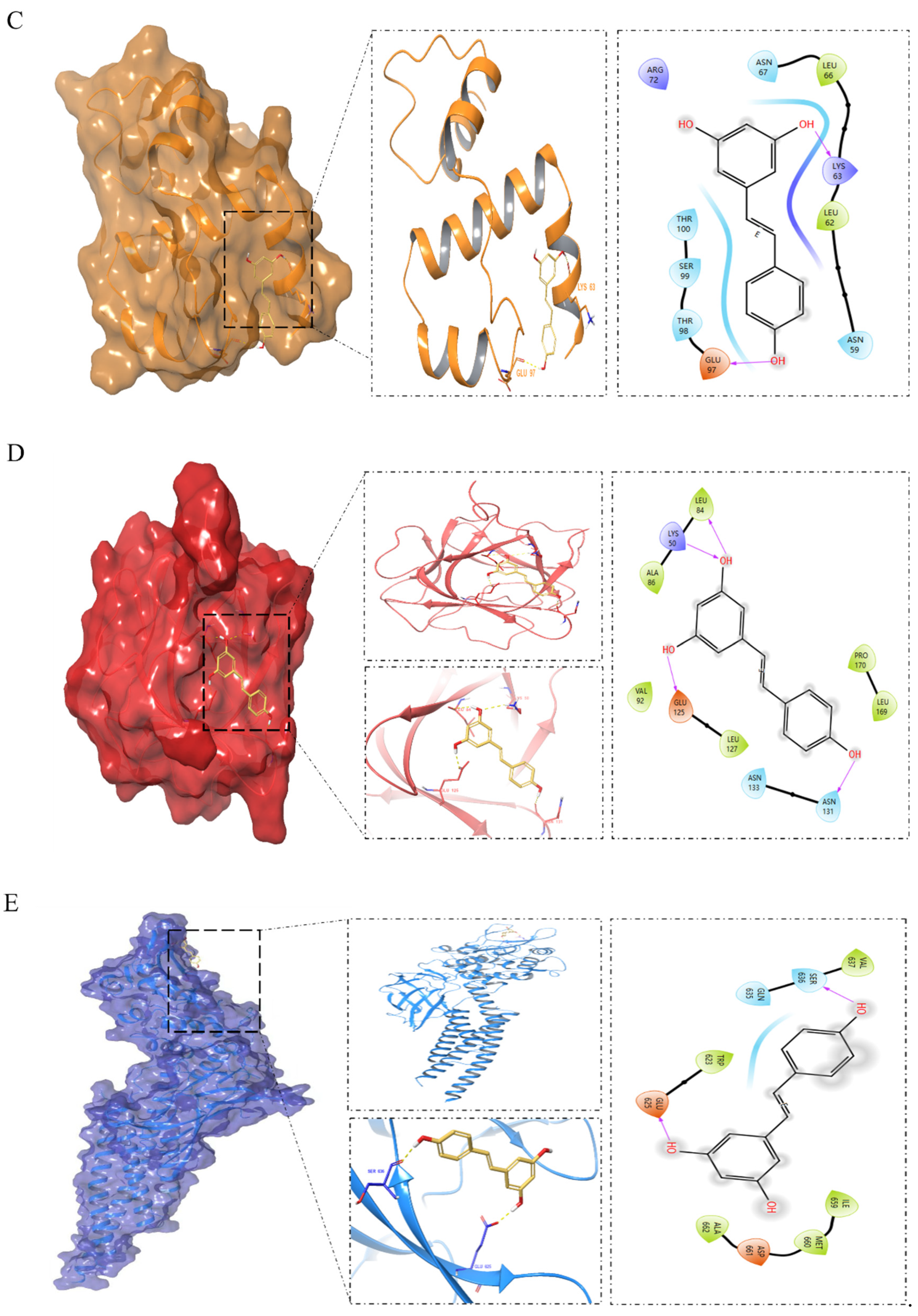Nutrients 16 02488 g007b