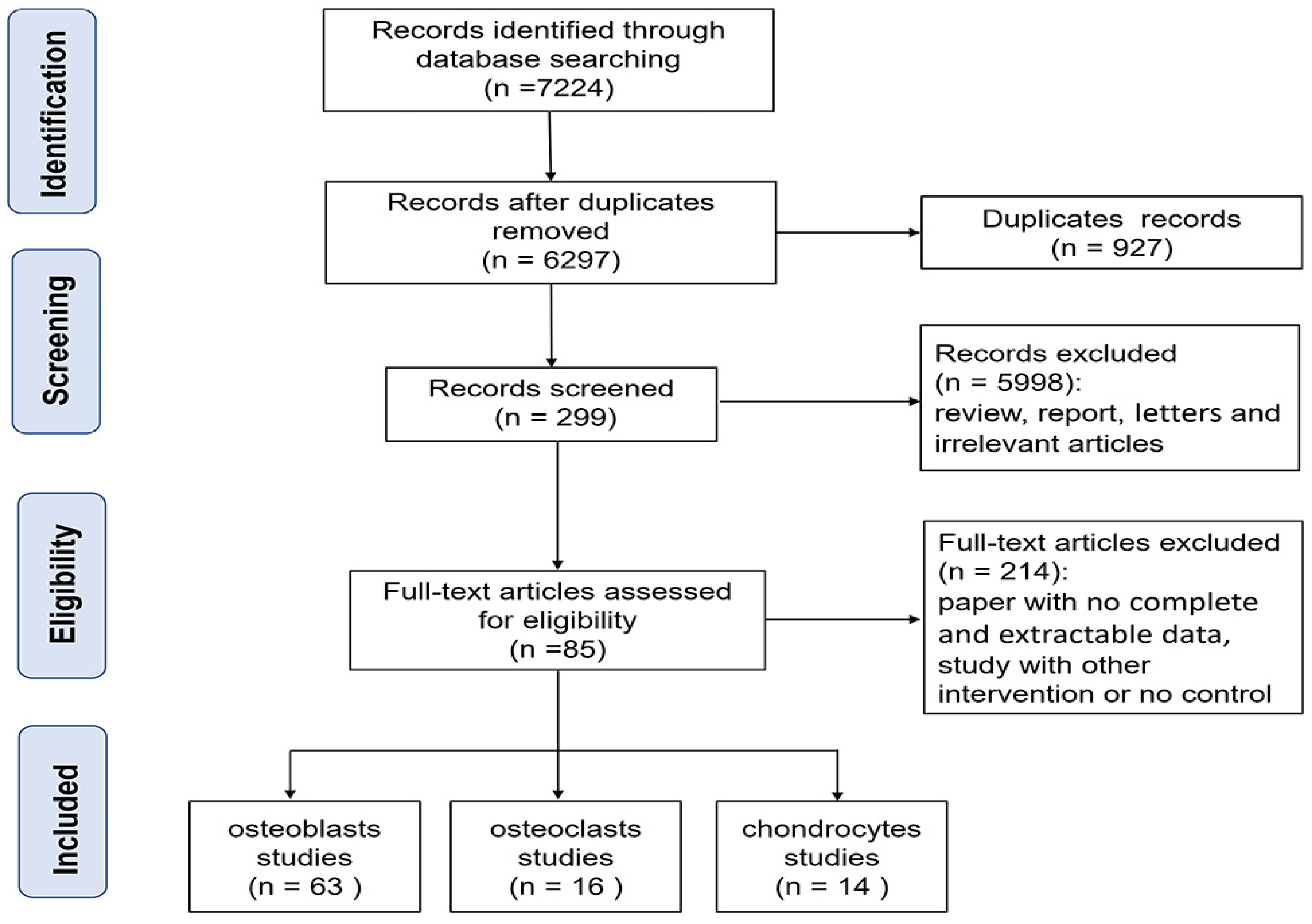 Nutrients 16 02500 g001