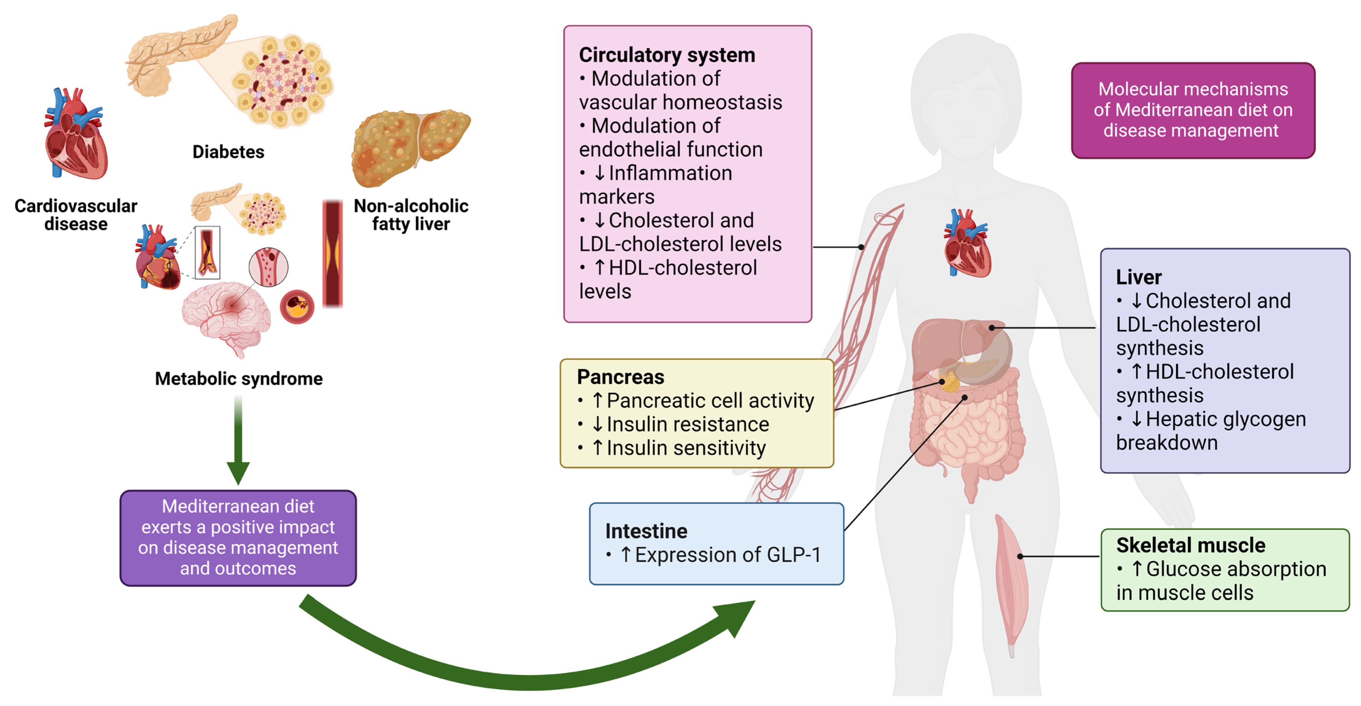 Nutrients 16 02525 g001