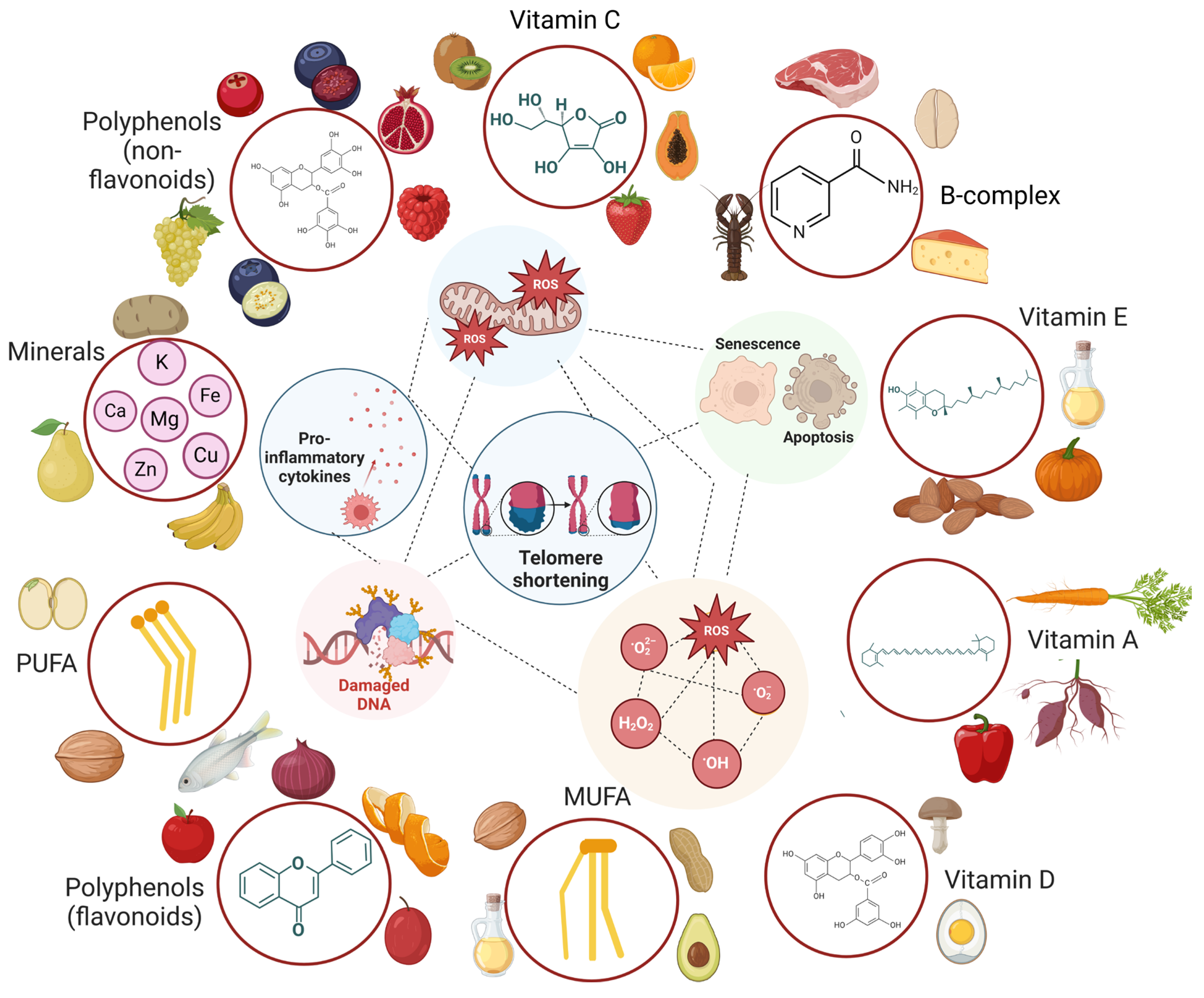 Nutrients 16 02525 g003