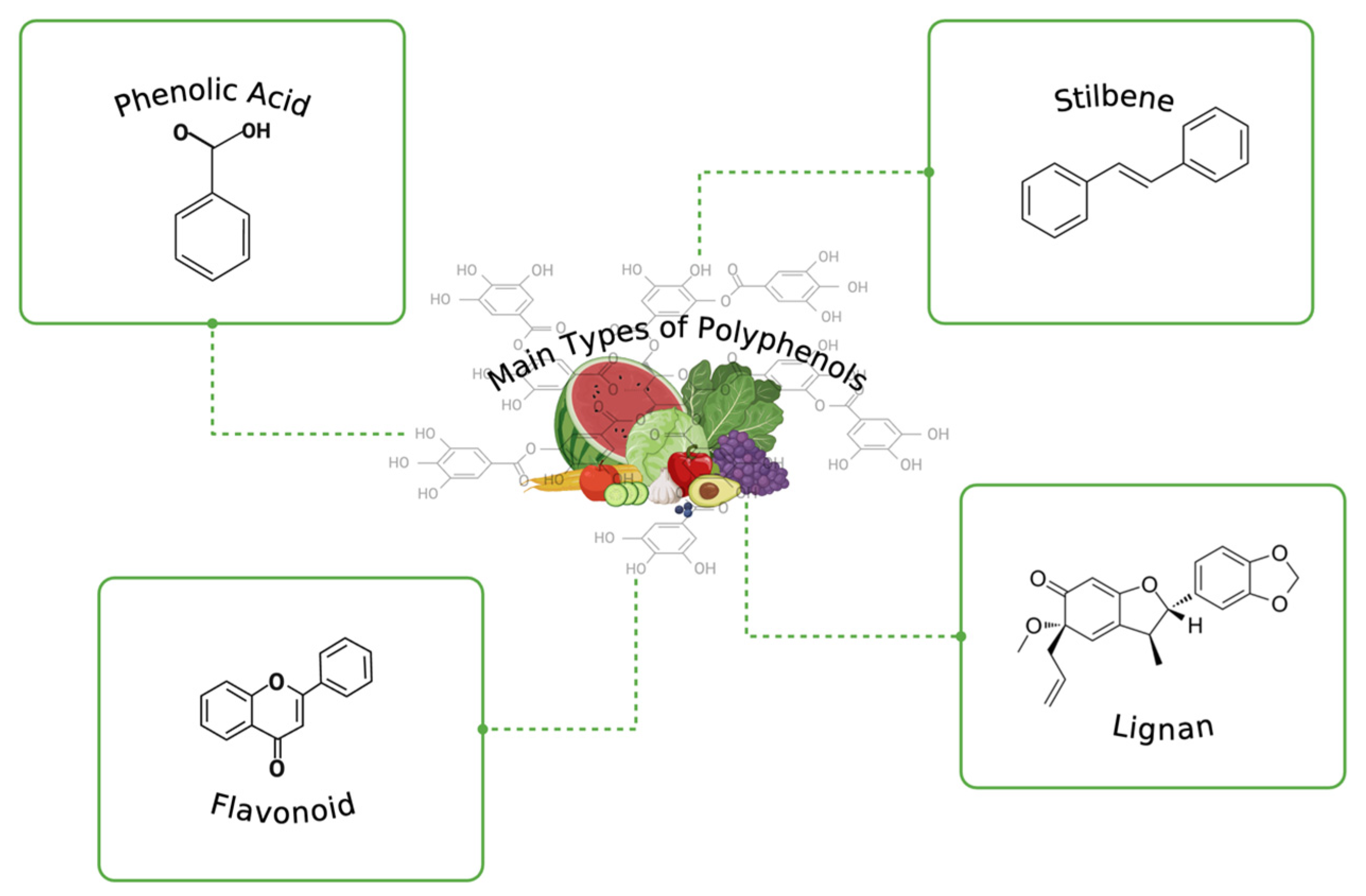 Nutrients 16 02550 g001