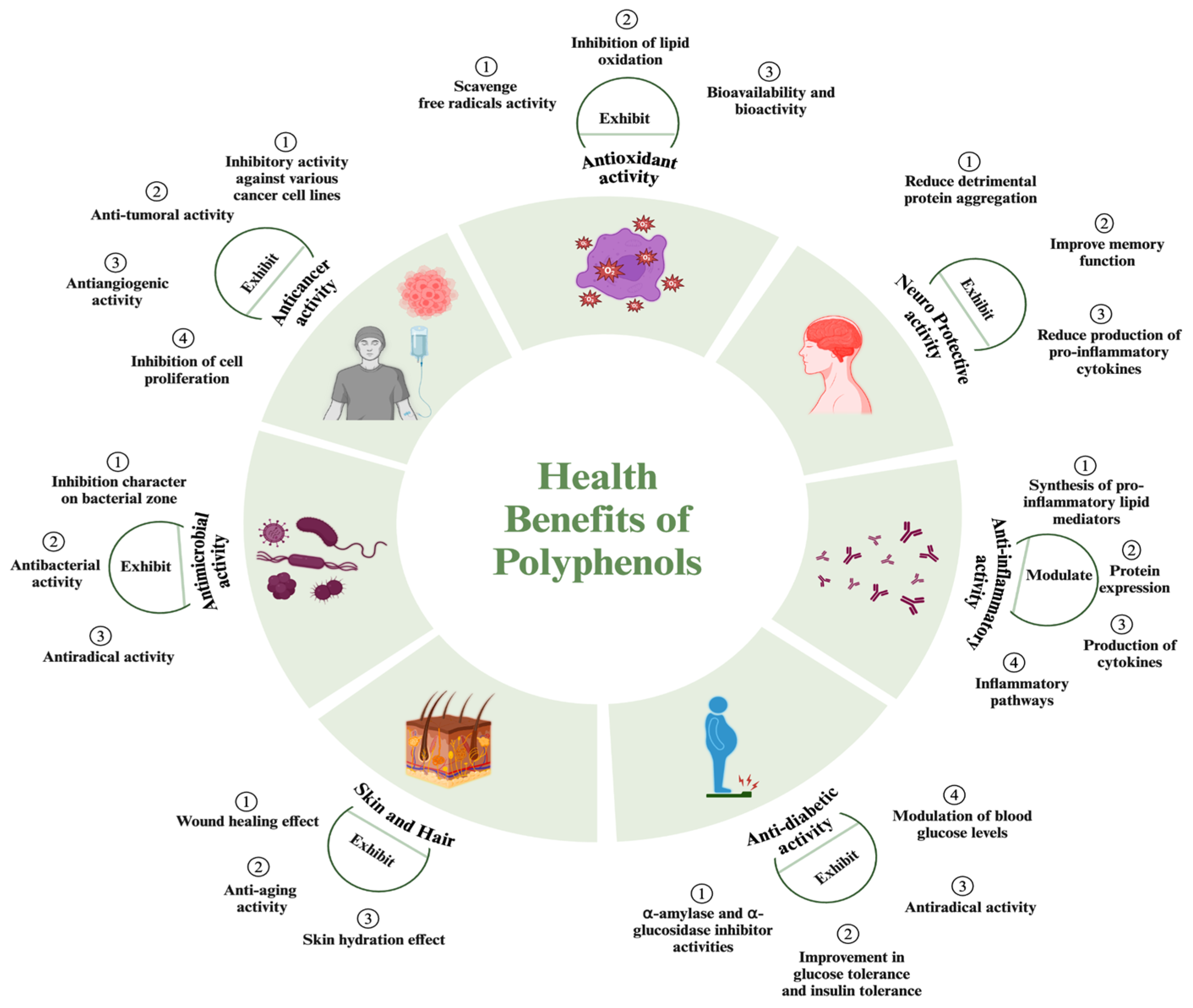 Nutrients 16 02550 g002