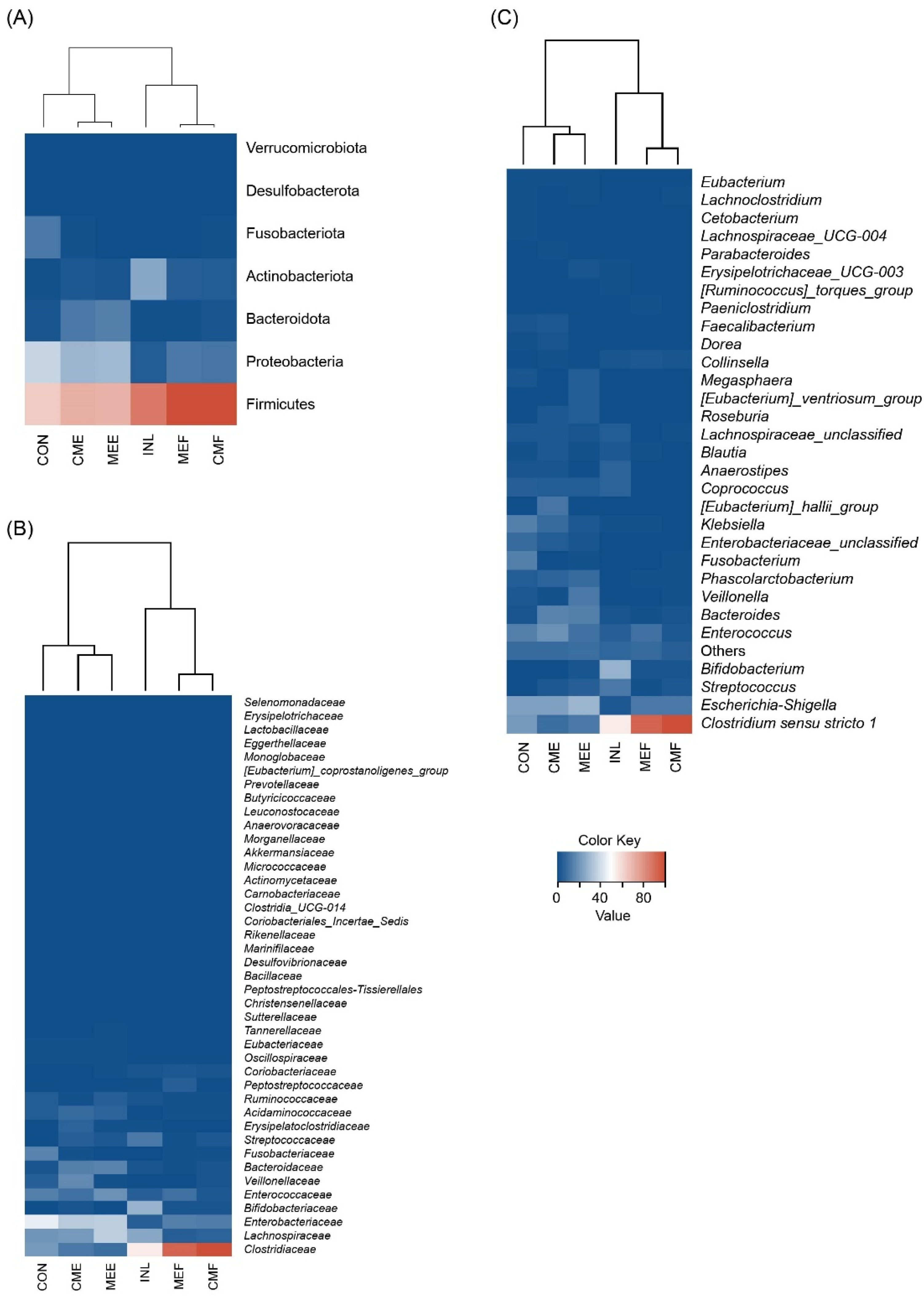 Nutrients 16 02553 g001
