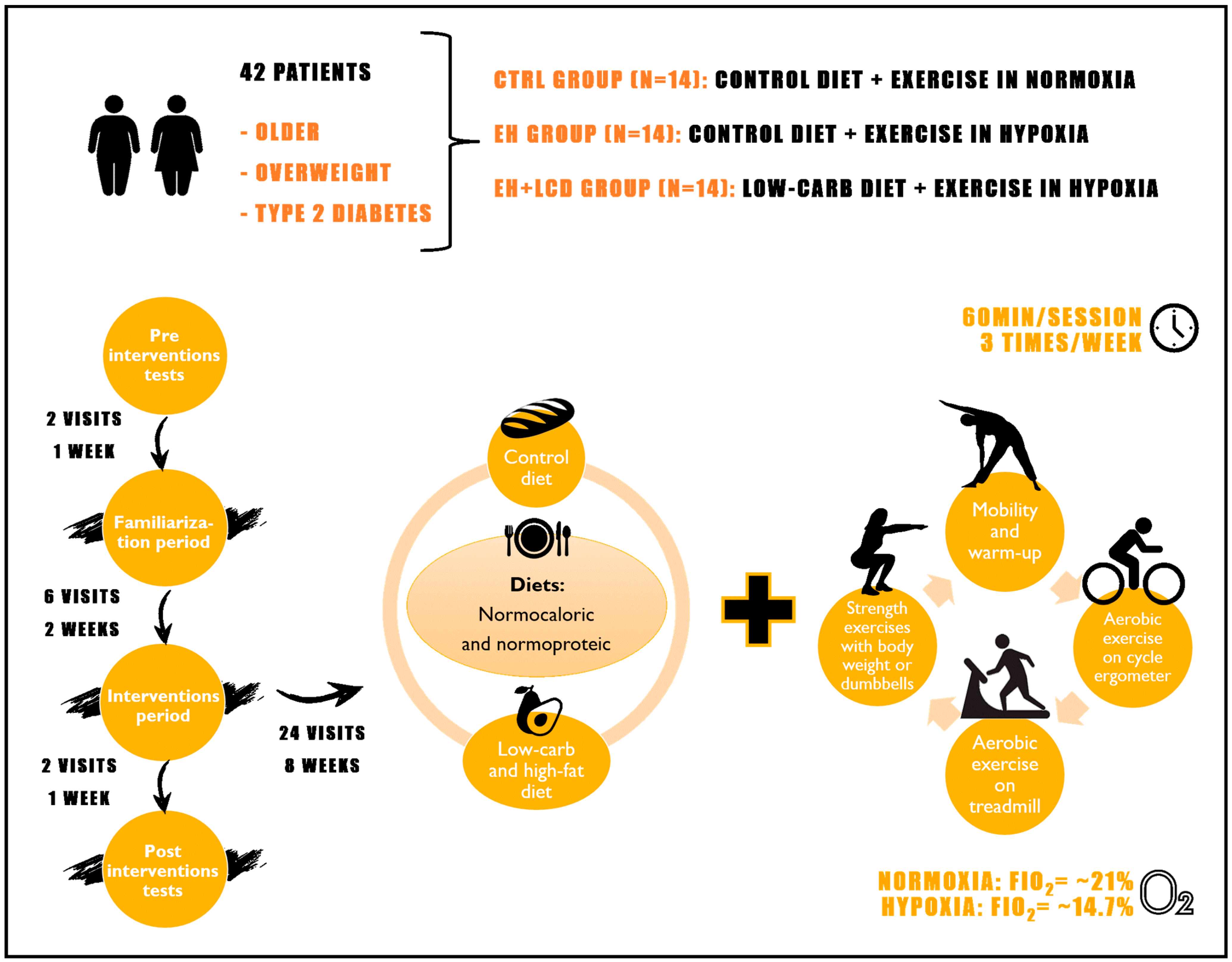 Nutrients 16 02681 g001
