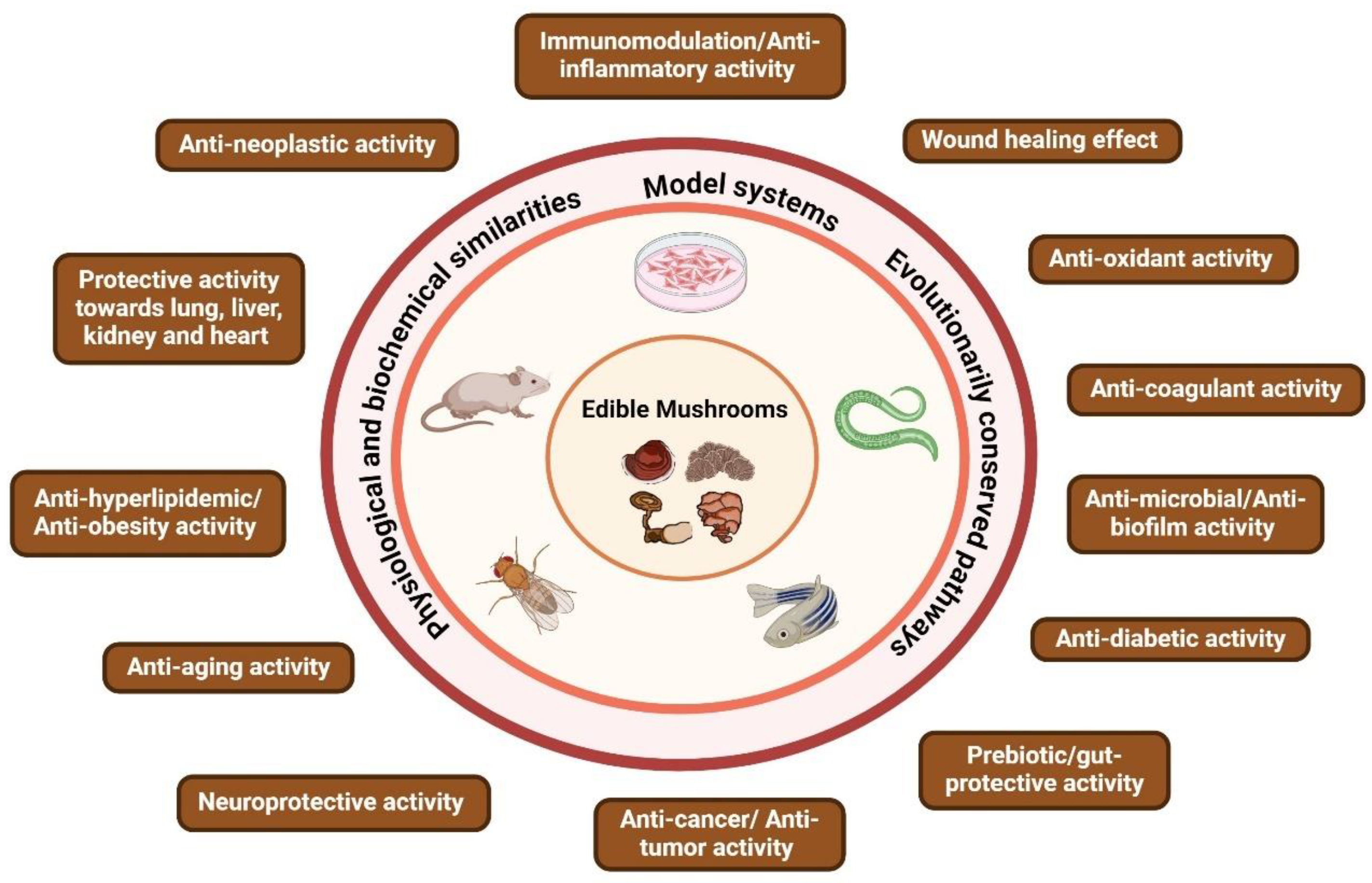 Nutrients 16 02682 g001