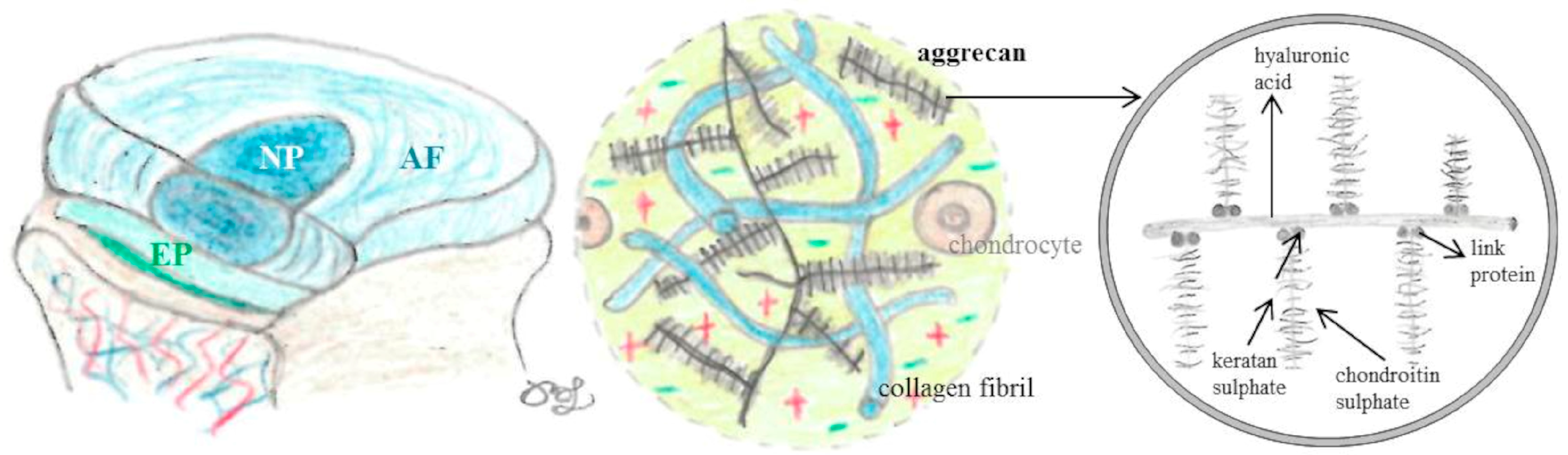 Nutrients 16 02695 g001