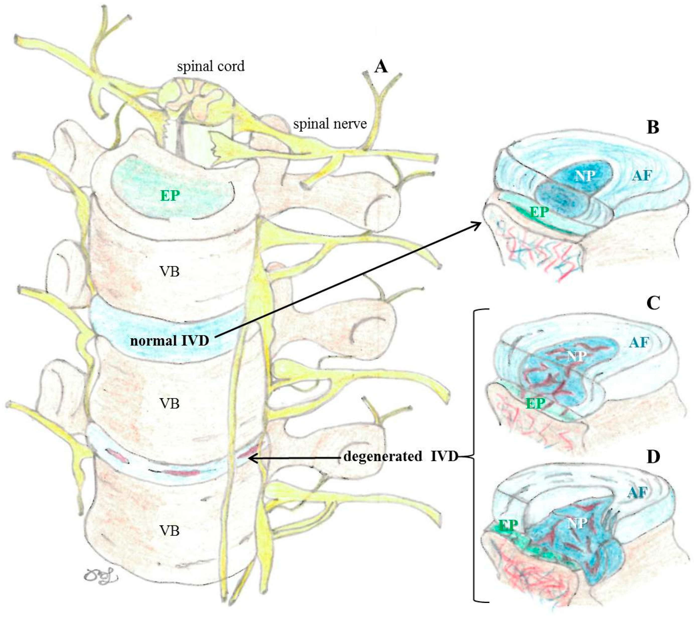 Nutrients 16 02695 g002