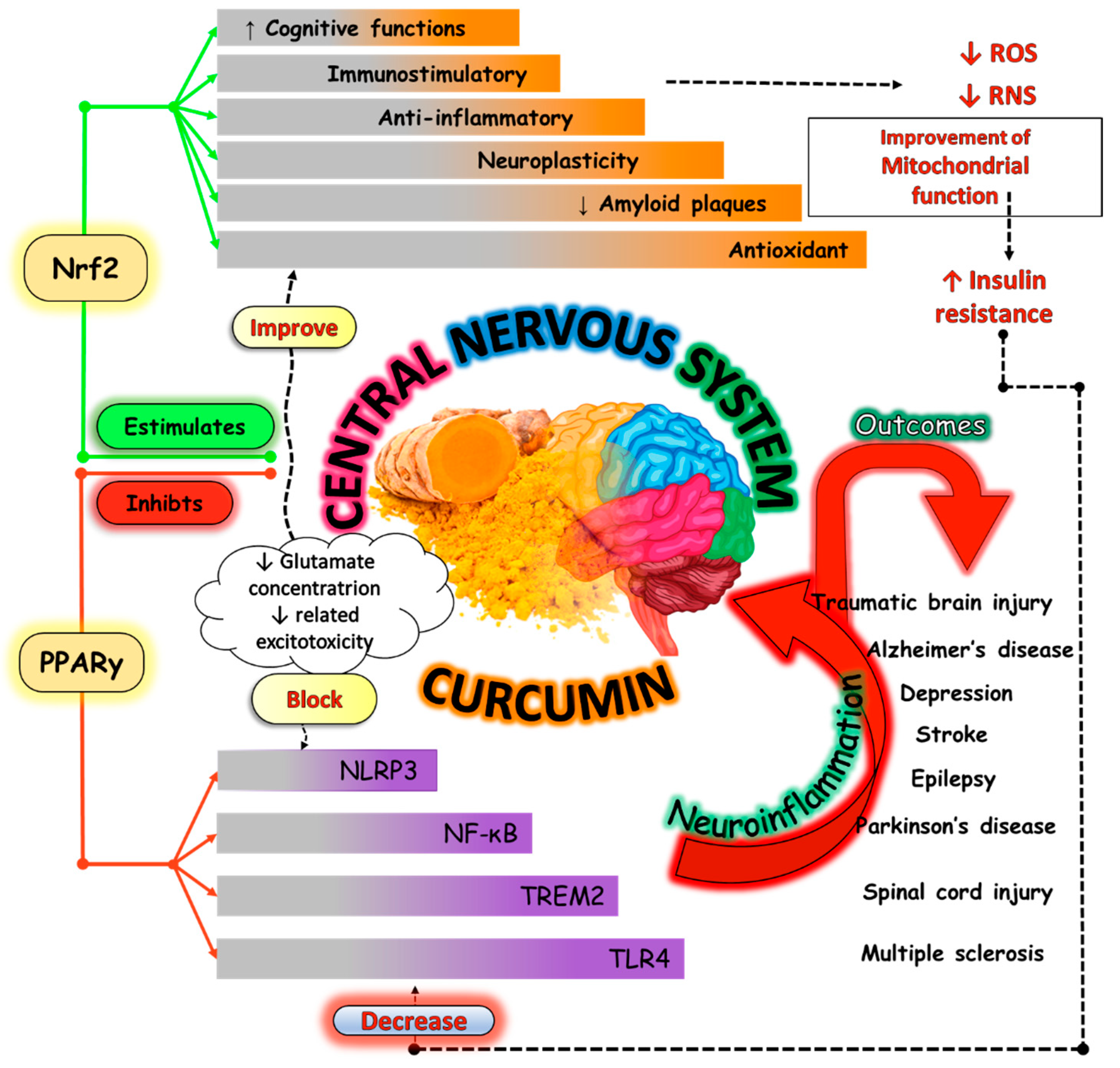Nutrients 16 02721 g006