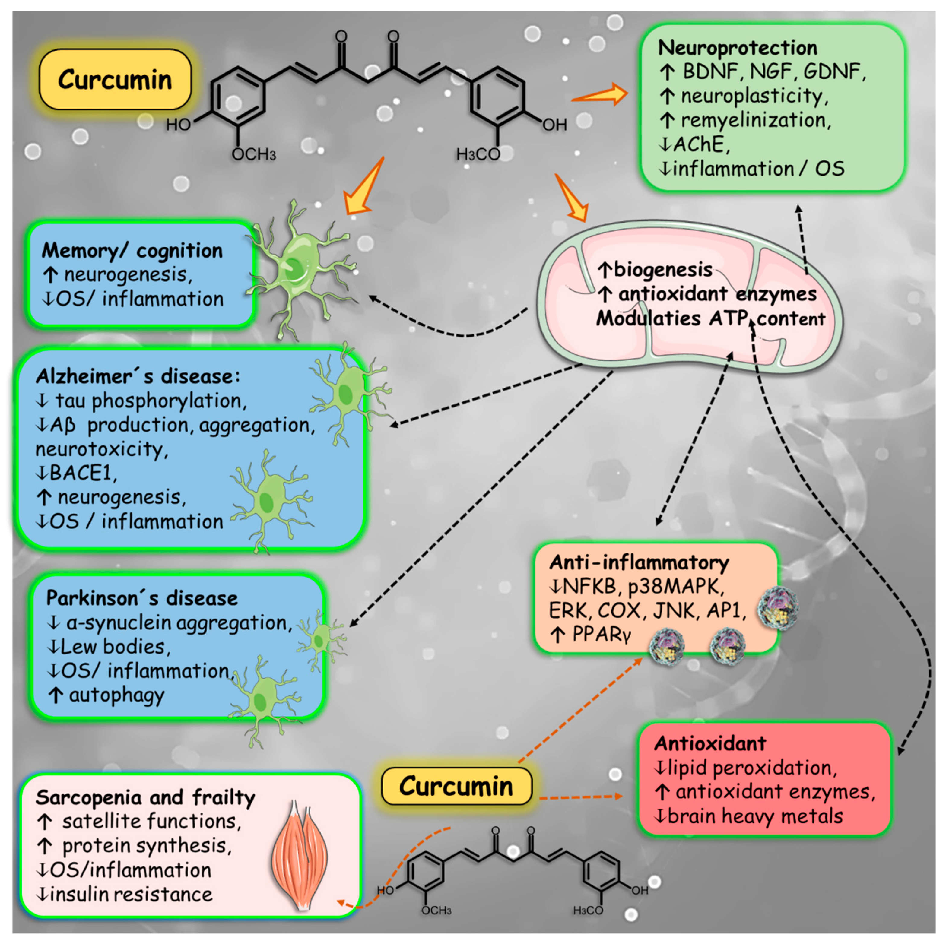 Nutrients 16 02721 g007