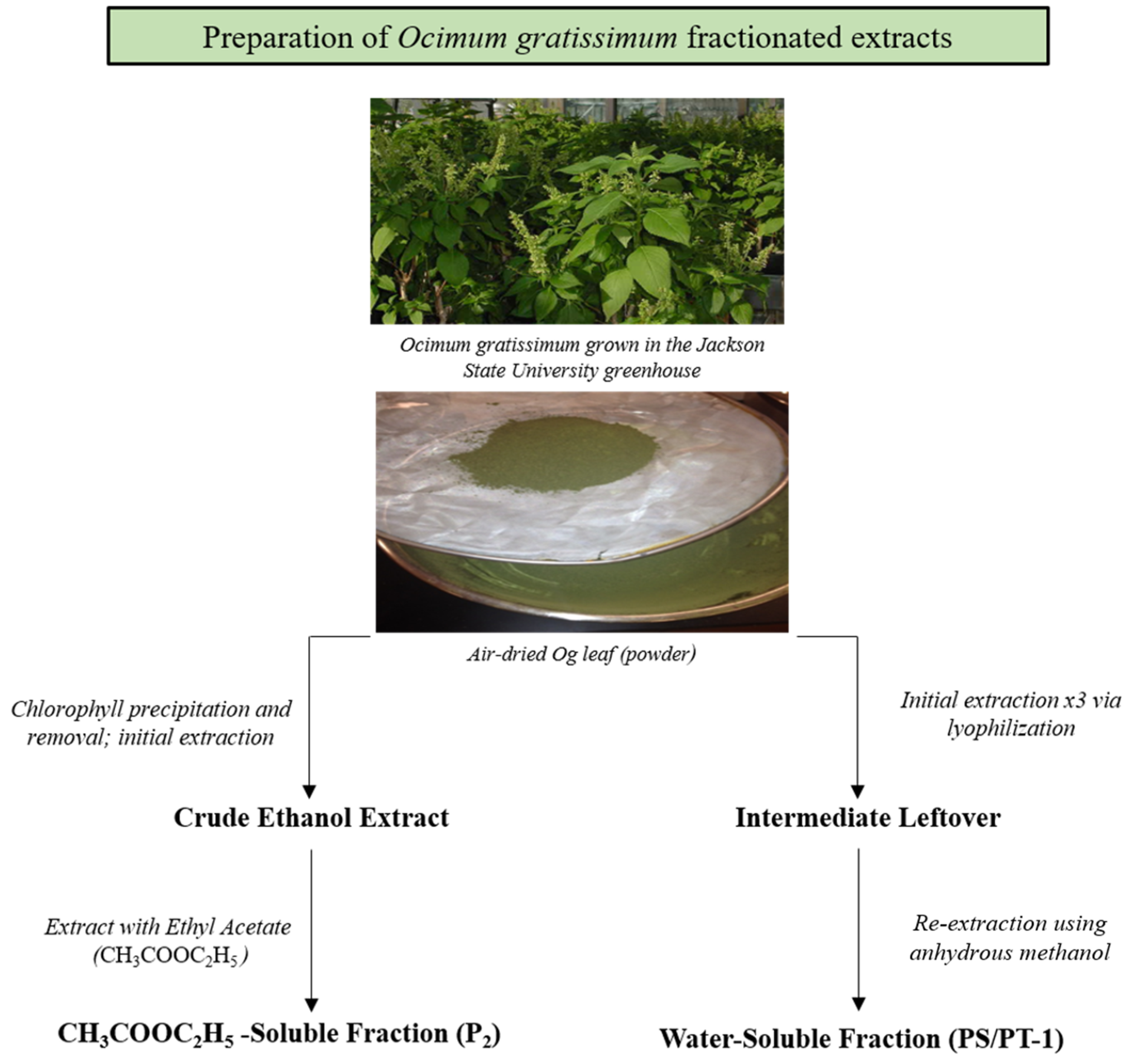 Nutrients 16 02737 g001