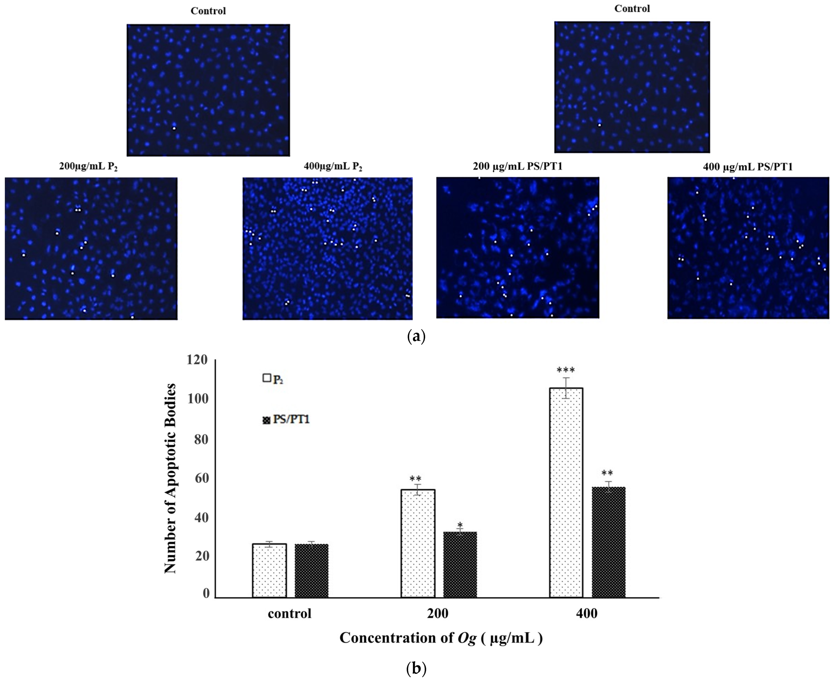 Nutrients 16 02737 g003